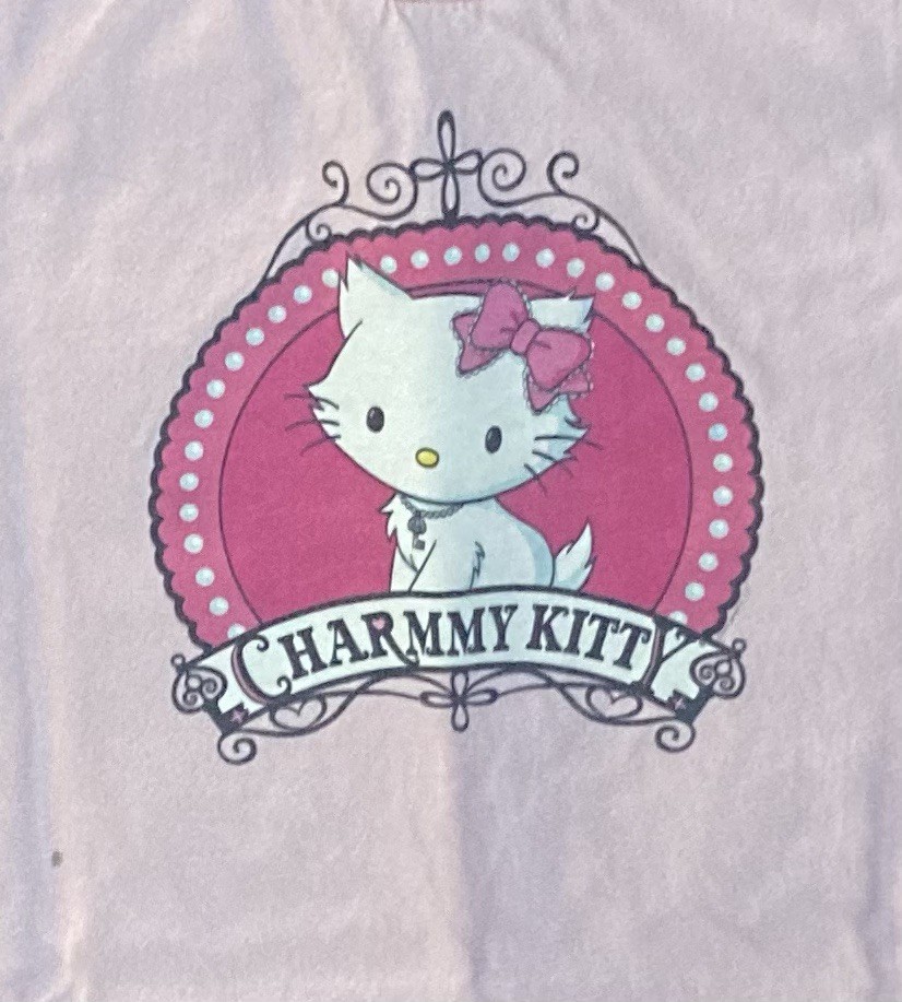 Hello Kitty Charmmy Kitty Sanrio Pink T-shirt Sz M Charmy – Rare