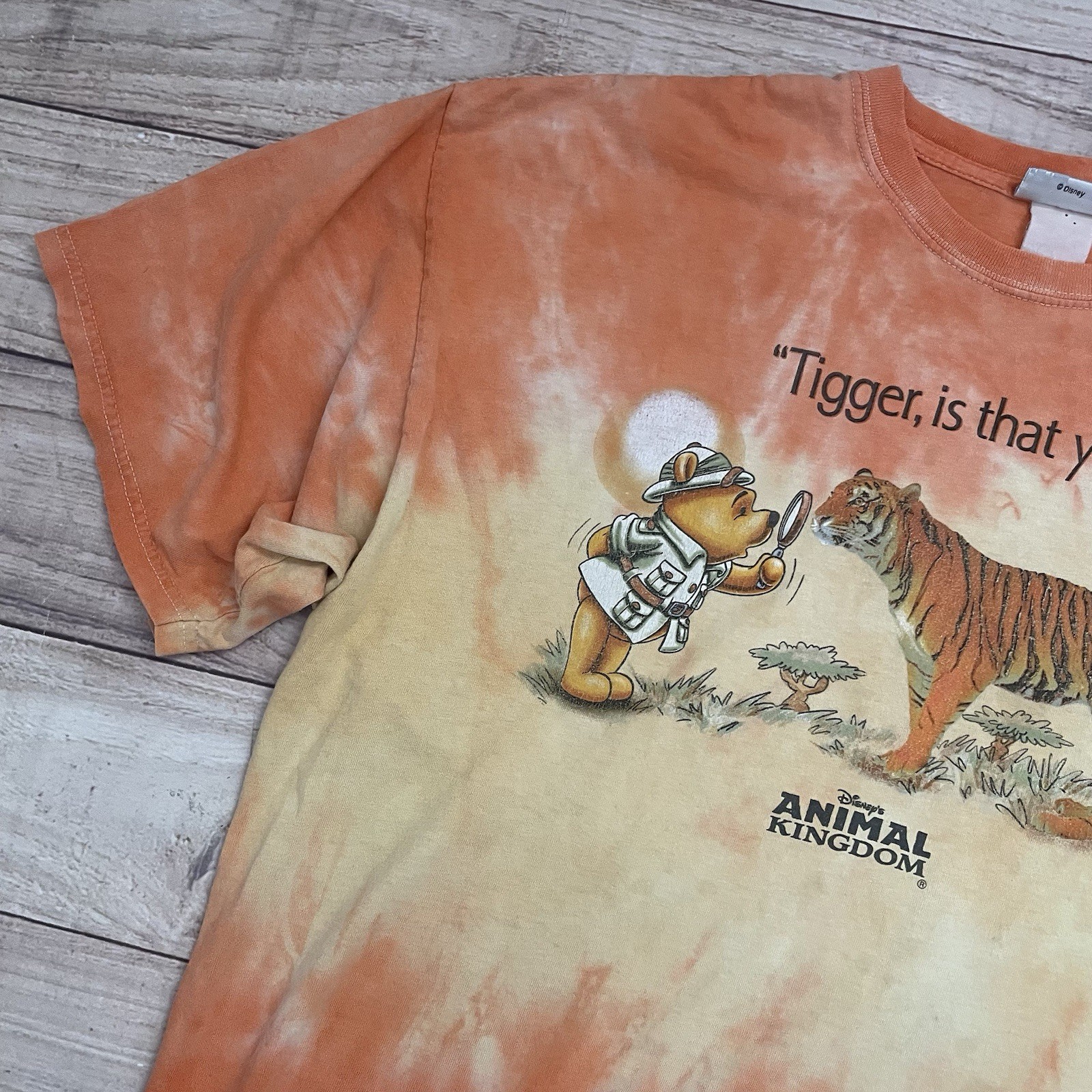 Vintage 90s Disney Animal Kingdom Tigger Is That You? Winnie the Pooh T-Shirt XL