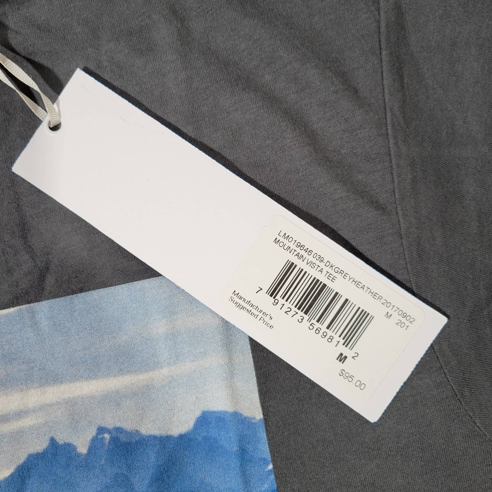 Fila Mountain Vista Graphic T Shirt Men M Dk Grey Heather Cotton Short Sleeve