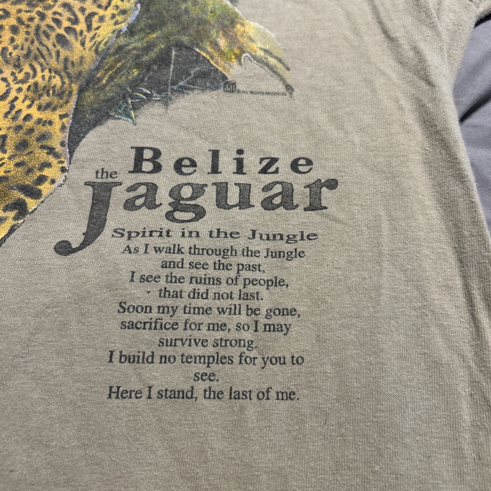 Vintage Jaguars FOTL Belize T Shirt Sz L 90s Advance Tees