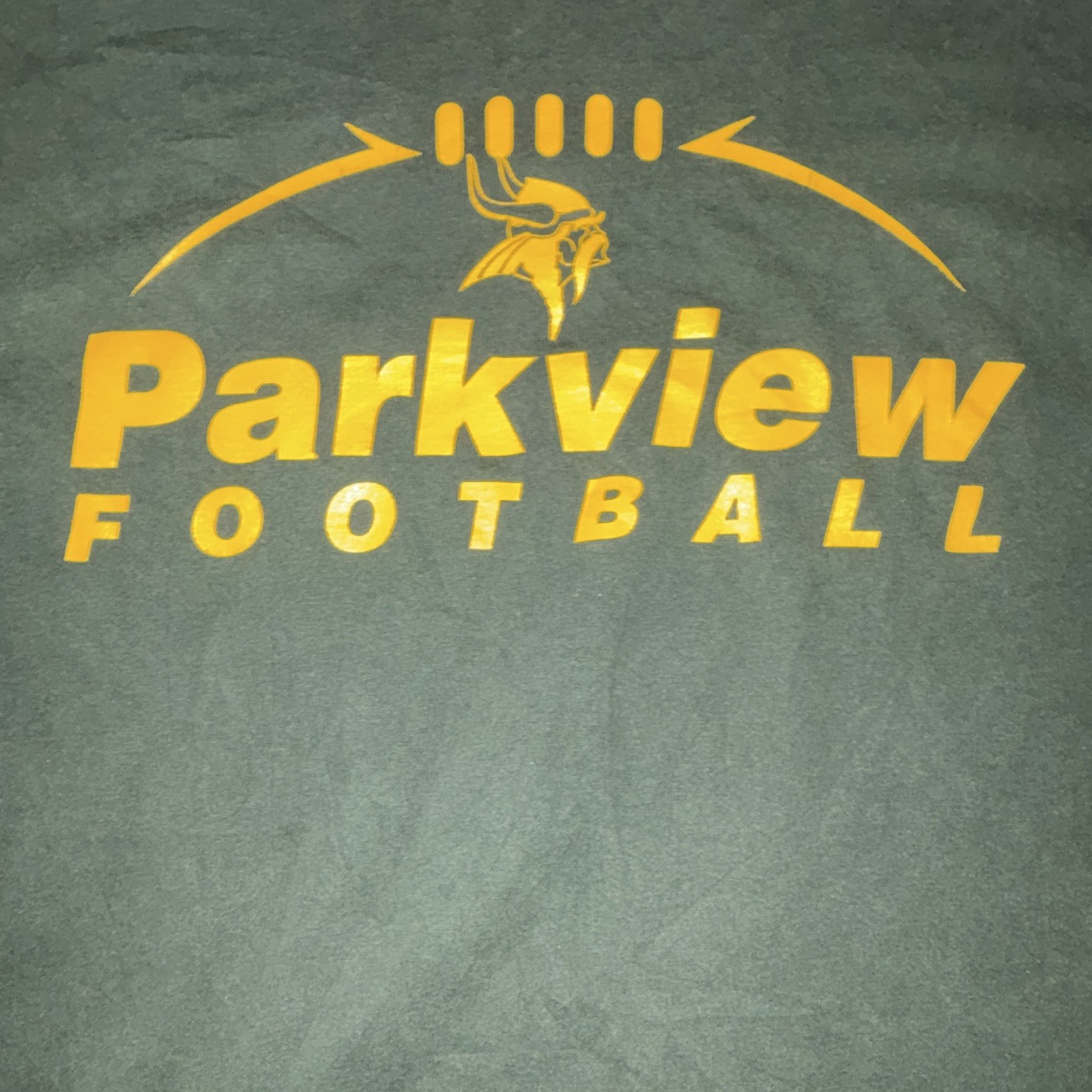 Gildan Ultra Cotton Men&rsquo;s S Green Cotton Parkview Football Viking Graphic Tee