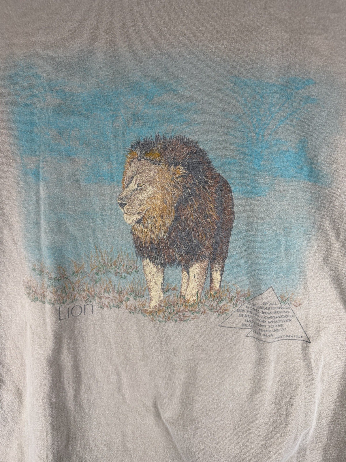 Vintage 90s Galt Sand Lion Wildlife Graphic T Made In USA Taupe Single Stitch L