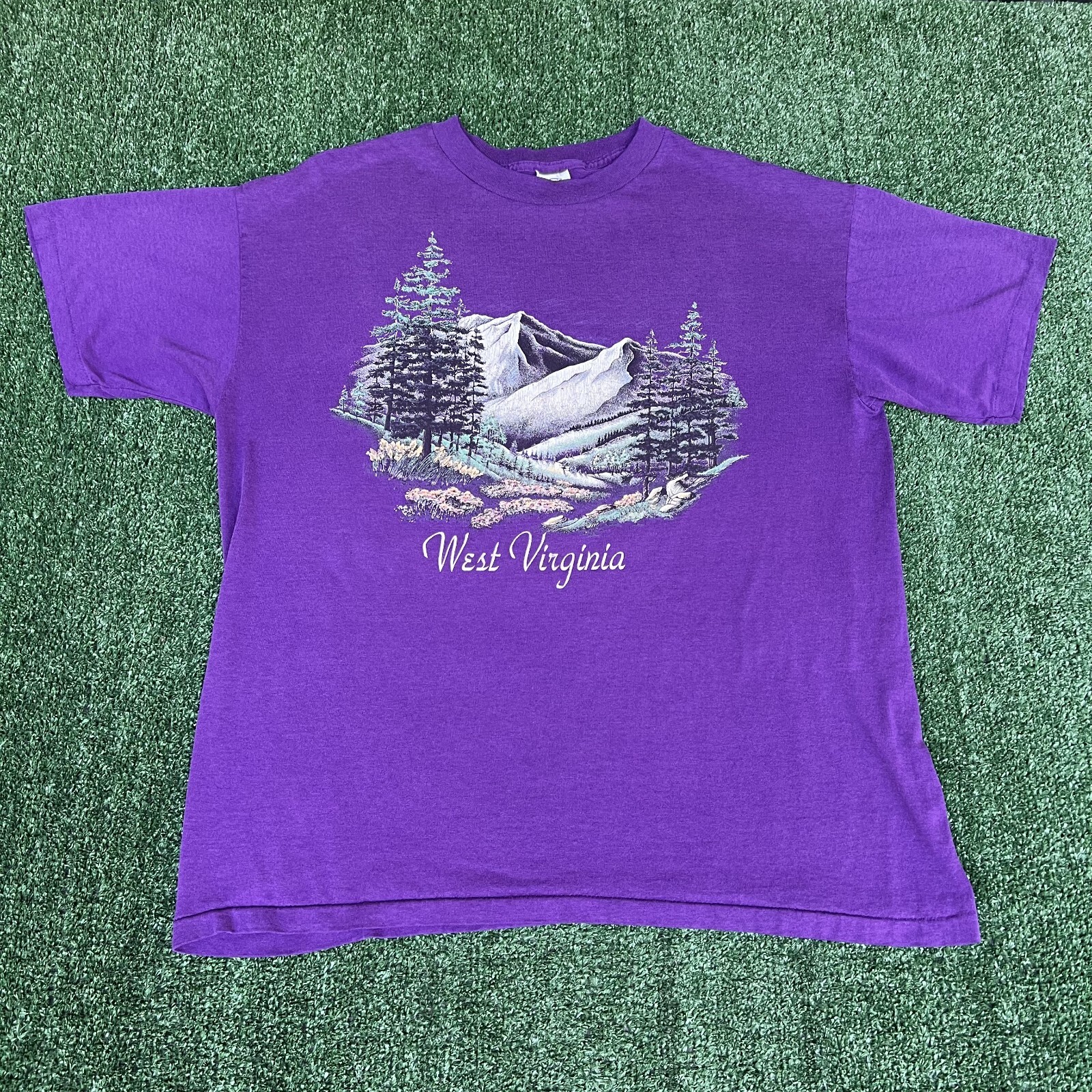 VTG State Nature T-Shirt Mens L / XL Blue Purple Black Florida West Virginia 90s