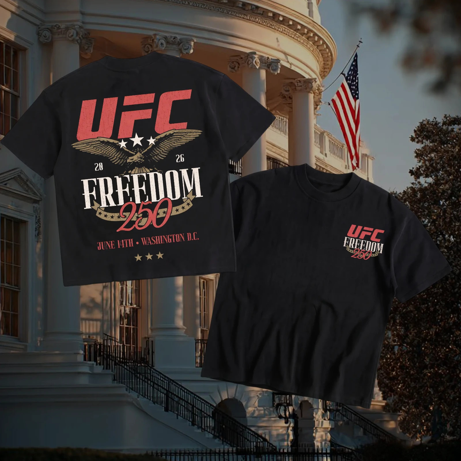 Fields White House Freedom 250 Tee V6, Freedom 250 Crewneck T-shirt Top Gift