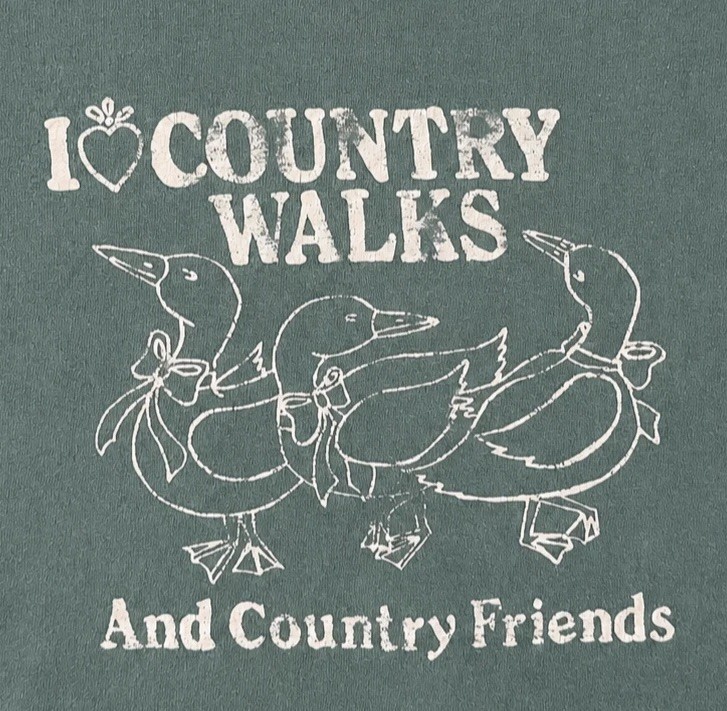 Mossimo T Shirt Large Made USA Country Walks Geese Ducks Cottagecore Vtg Y2K 90s