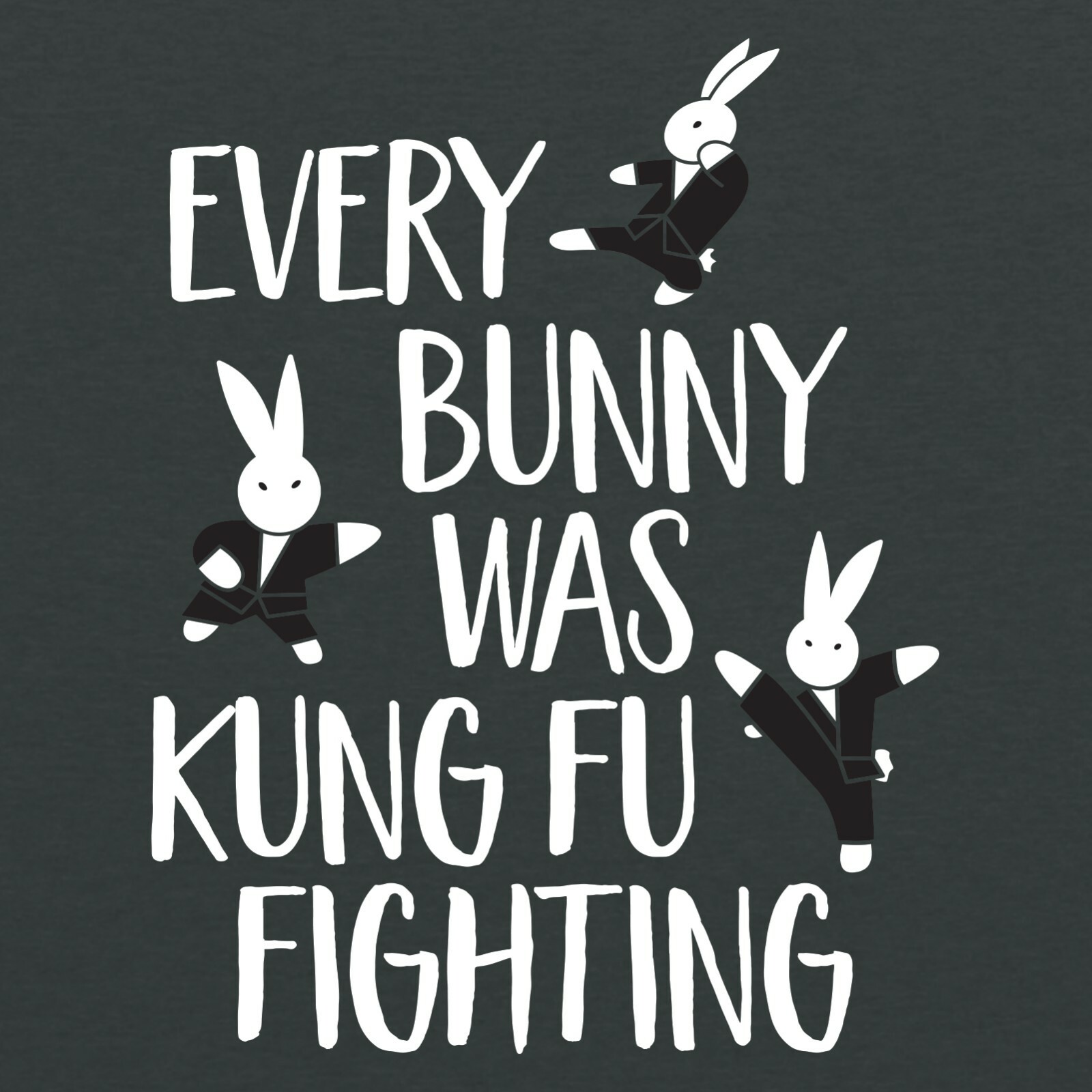 Every Bunny Was Kung Fu Fighting – Funny Music Animal Cute Short Sleeve T-Shirt
