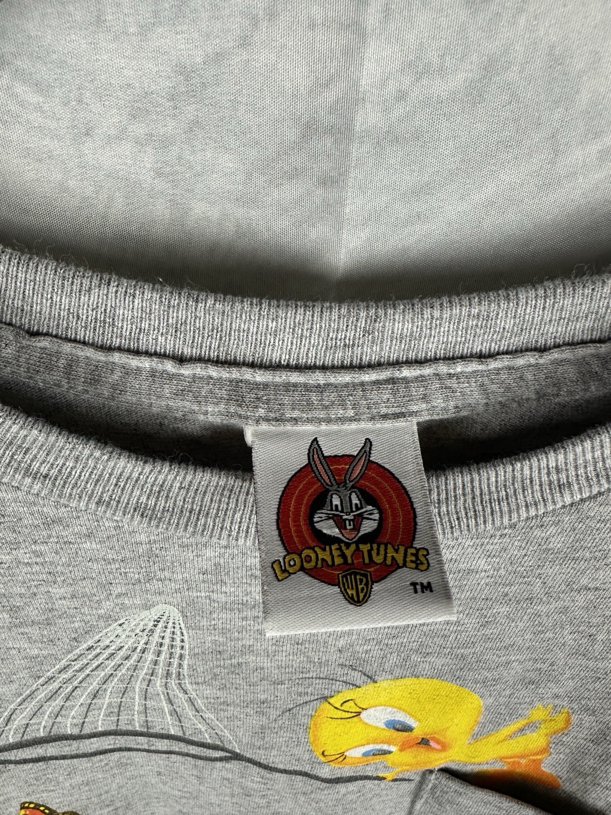 Y2K Looney Tunes T Shirt Men Medium Gray Tweety Sylvester Graphic Short Sleeve