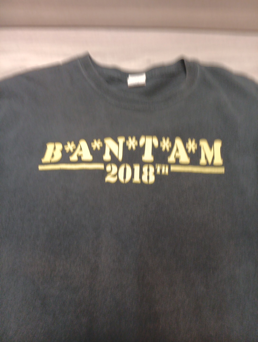2018 Bantam Jeep Festival Wrangler T Shirt Heritage Festival Butler Pa Large USA