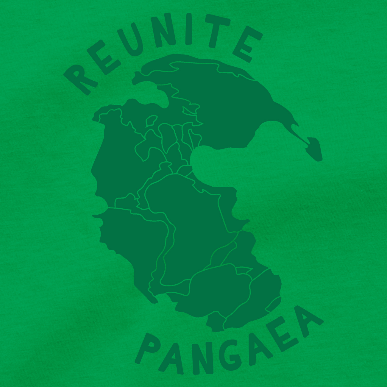 REUNITE PANGAEA T Shirt Pangea Puzzle Gondwana Panthalassa Rodinia Ur Tee Poster