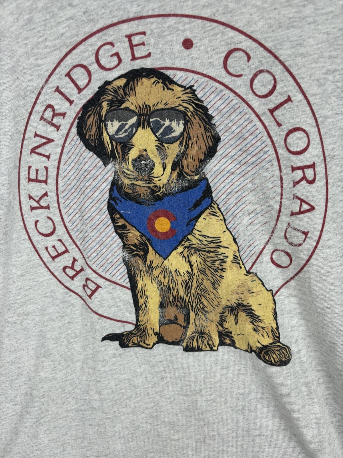 LEAGUE 91 Breckenridge Colorado T-Shirt Men&rsquo;s XL 100% Cotton Cool Dog