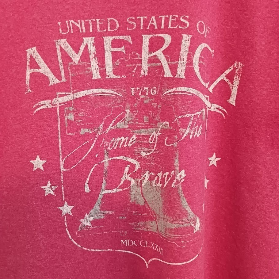 Gildan Ultra Cotton Graphic Tee USA Cotton Poly Size Large Home of the Brave