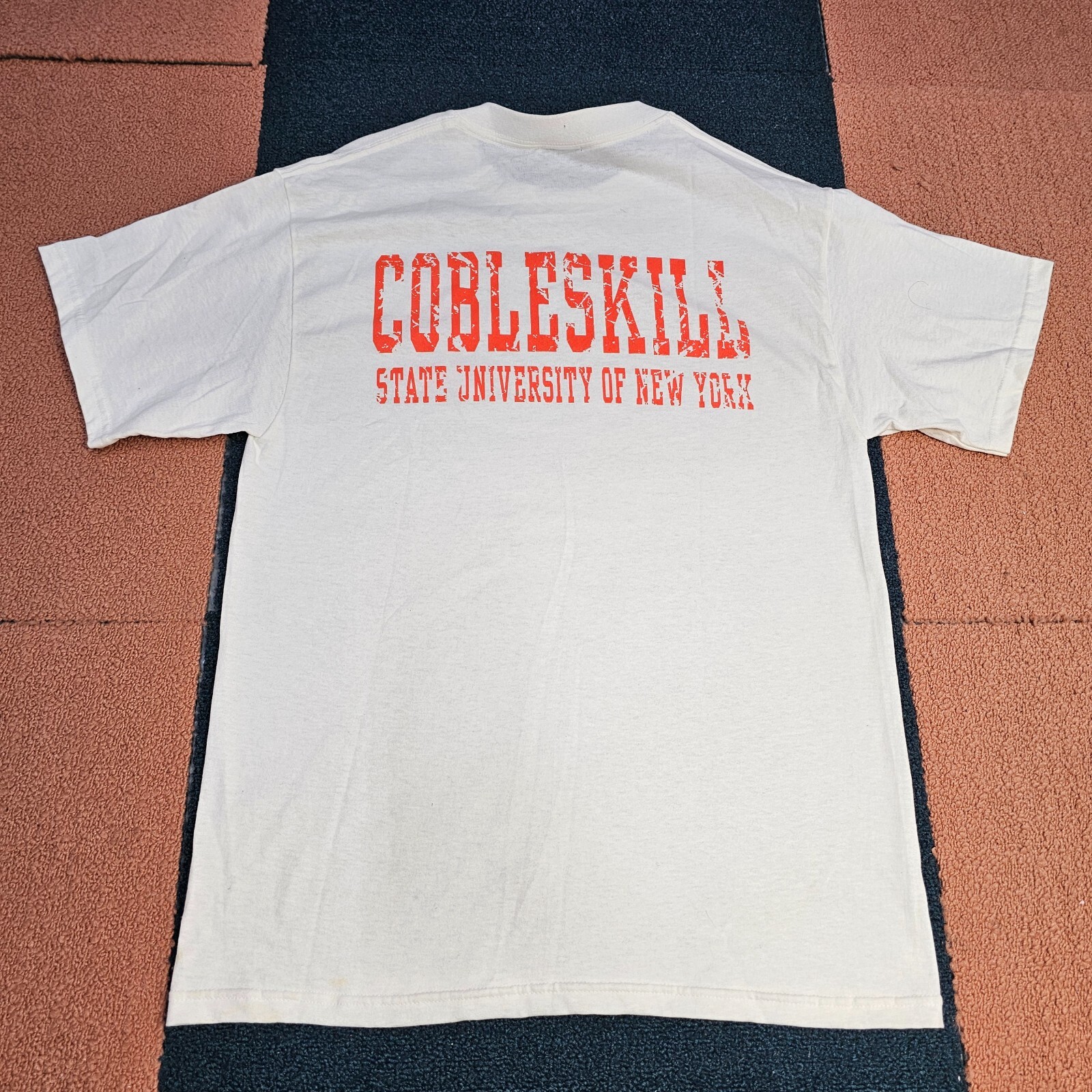 Cobleskill State University New York T-Shirt Small White Graphic Soffe SS V7b