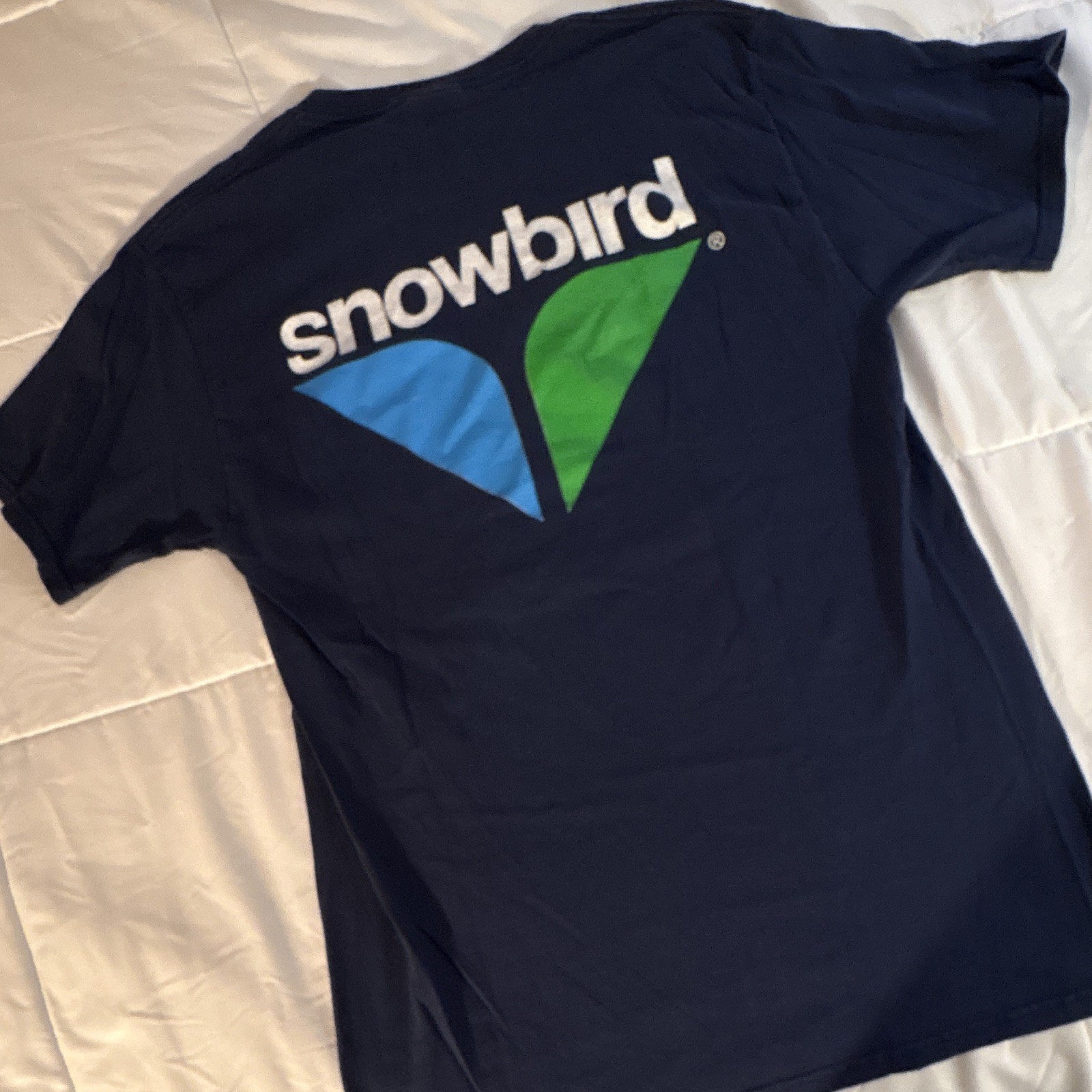Men’s Port And Company Large Snowbird Tee