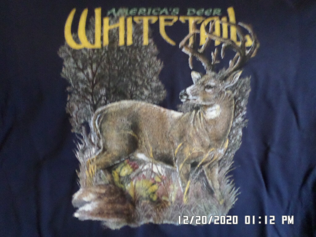 NEW Deer Hunting T-Shirt: American Whitetail Buck (LOTS Of Sizes & Colors)