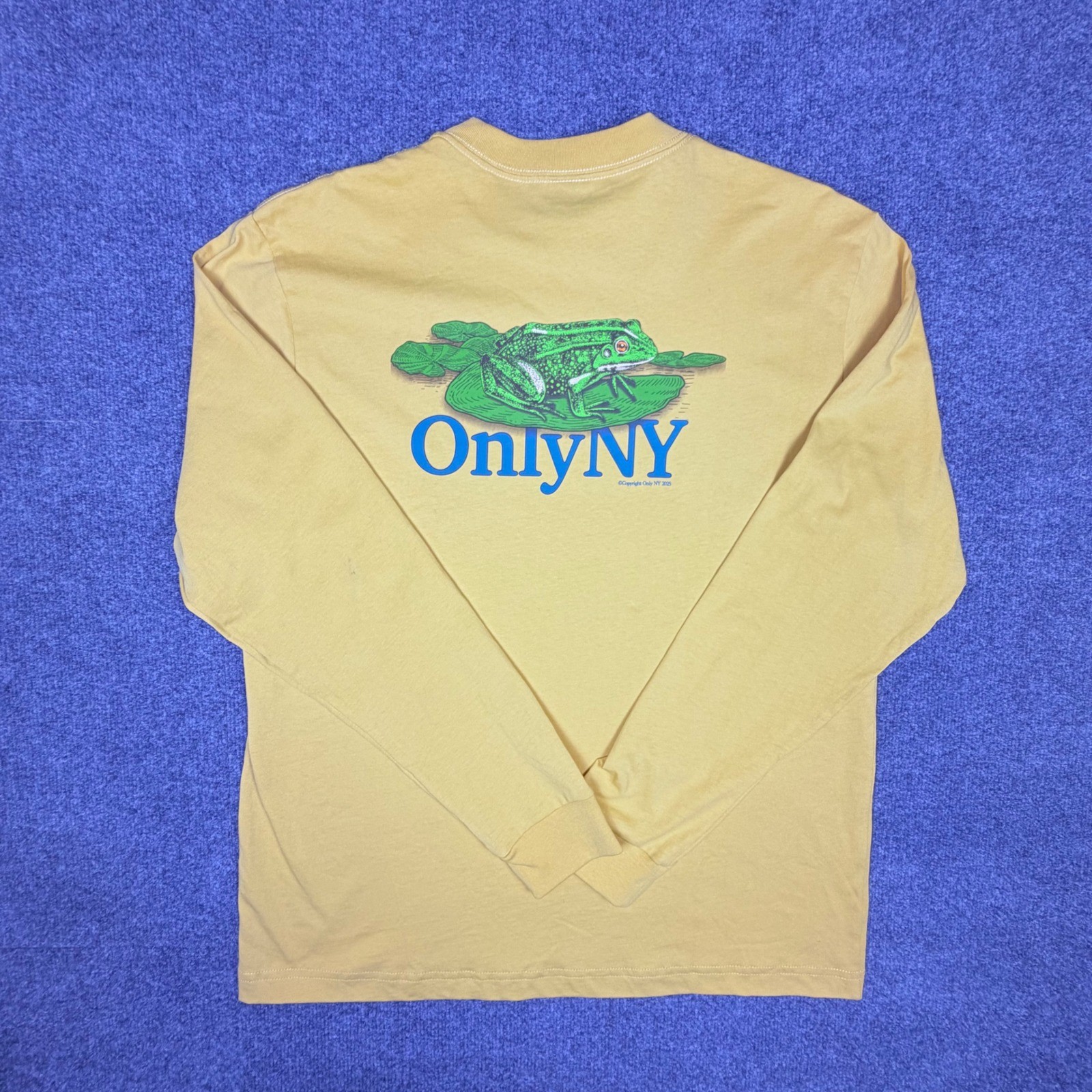 Only NY Bullfrog Graphic Long Sleeve T-Shirt Mens Med Yellow Cotton Streetwear