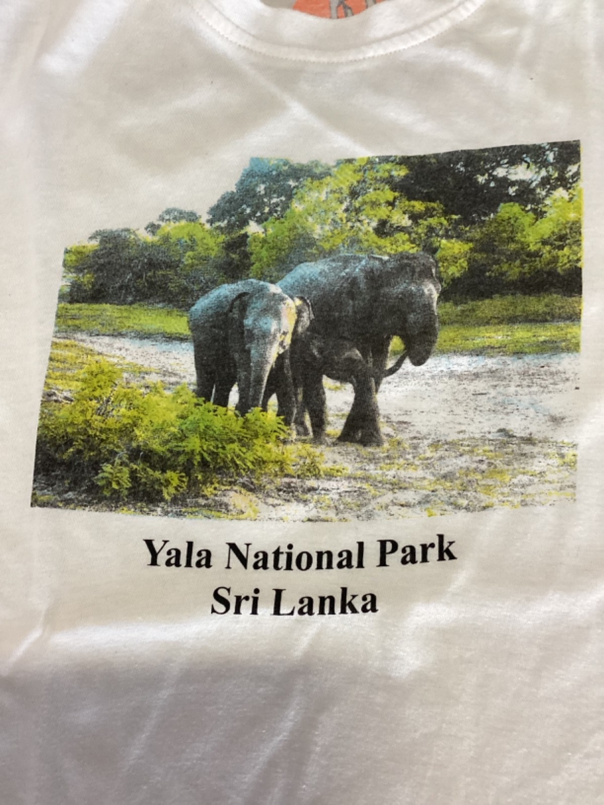 Vintage Yala National Park Sri Lanka Elephant T-Shirt Single Stitch Size XL