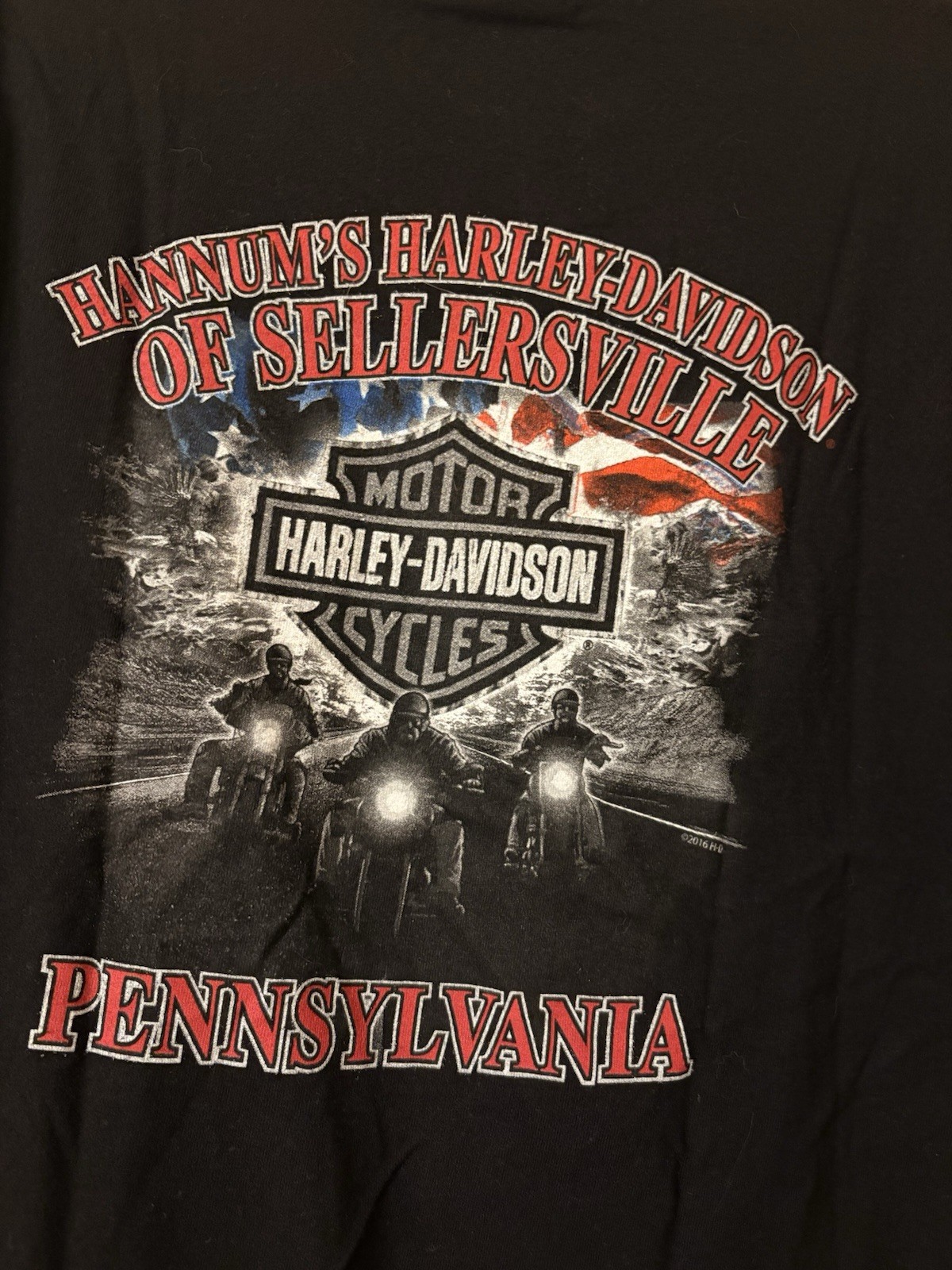 Harley Davidson Biker Built Sellersville PA Snake Skull T Shirt Size Large Black
