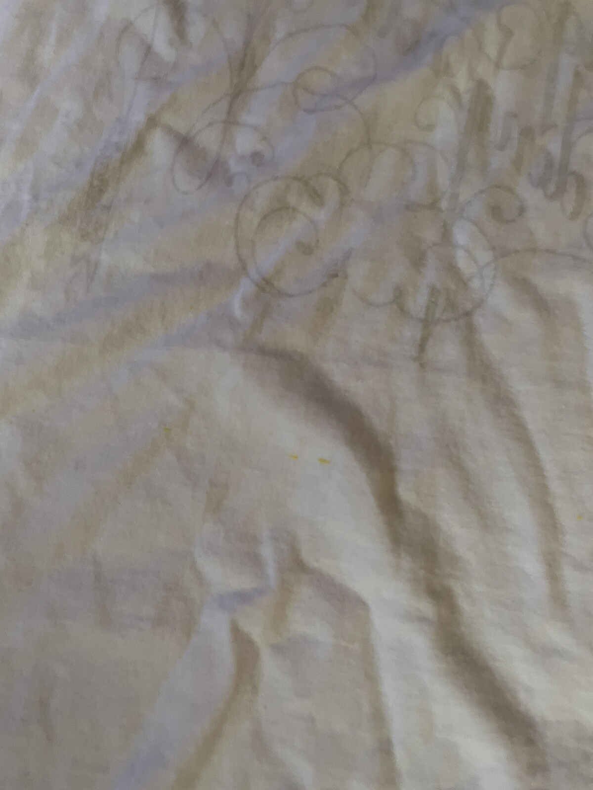 Walt Whitman Quote Female Form Shirt White Size L Rare Poet Poem