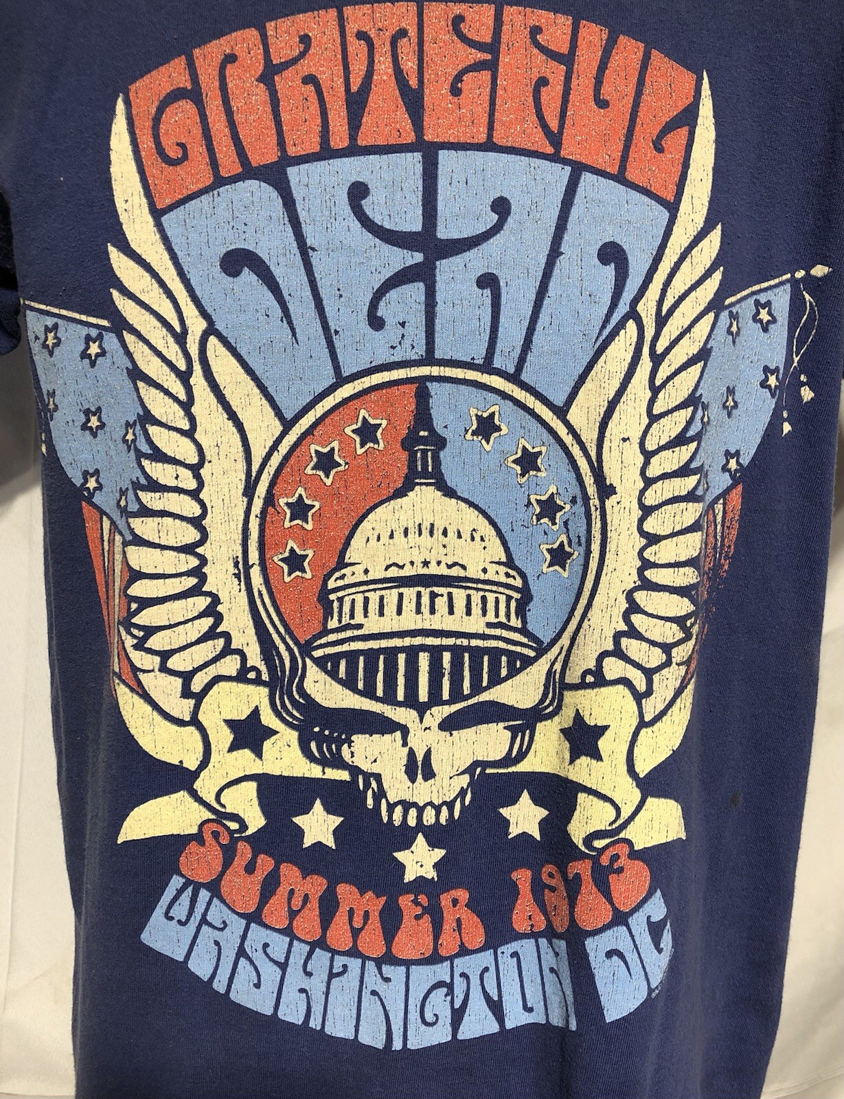 1973 Vintage Grateful Dead Small Washington DC Tour T-Shirt Tee Gildan Blue