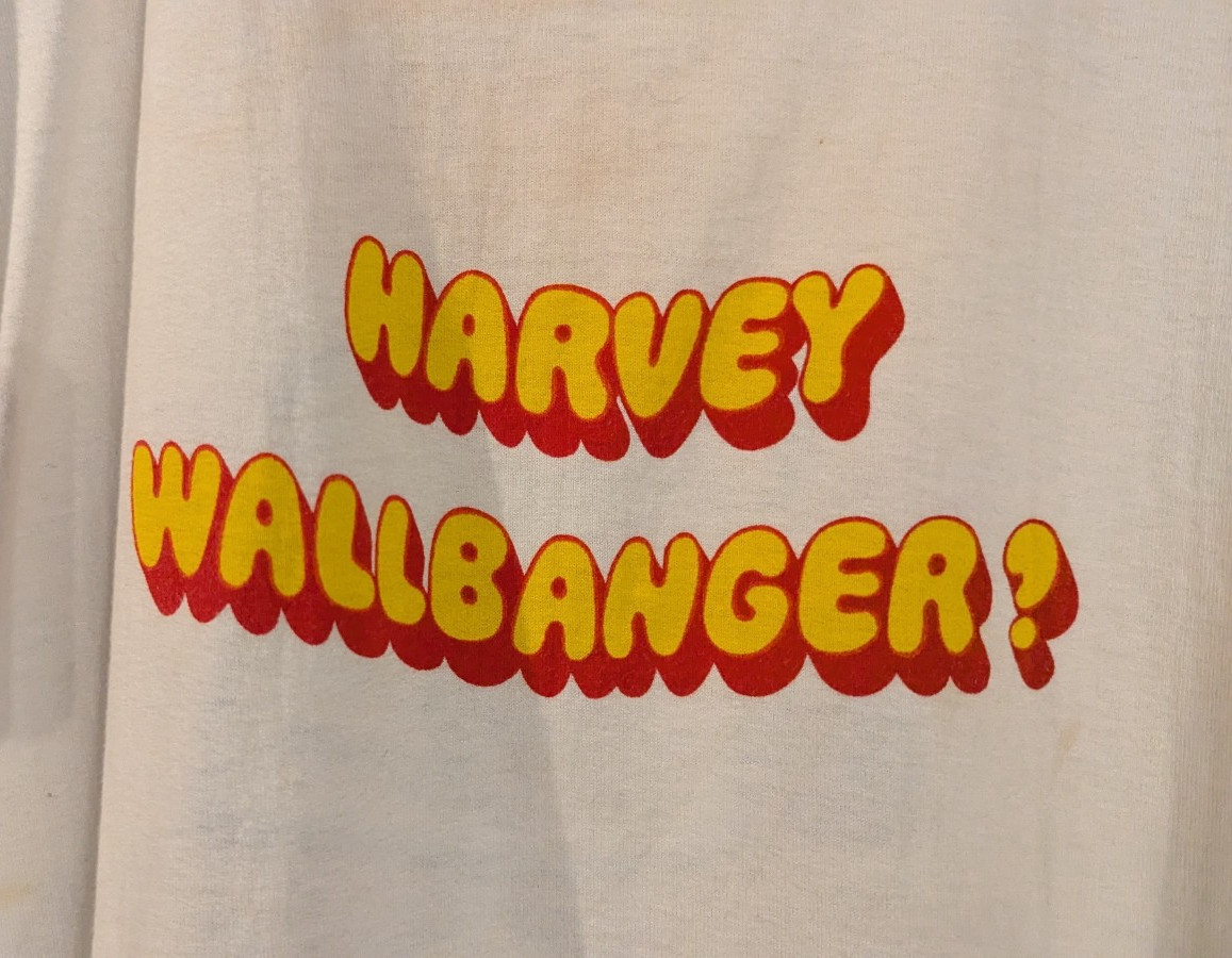 Vintage 70s Champion T Shirt Galliano Harvey Wallbanger Single Stitch Ringer Tee