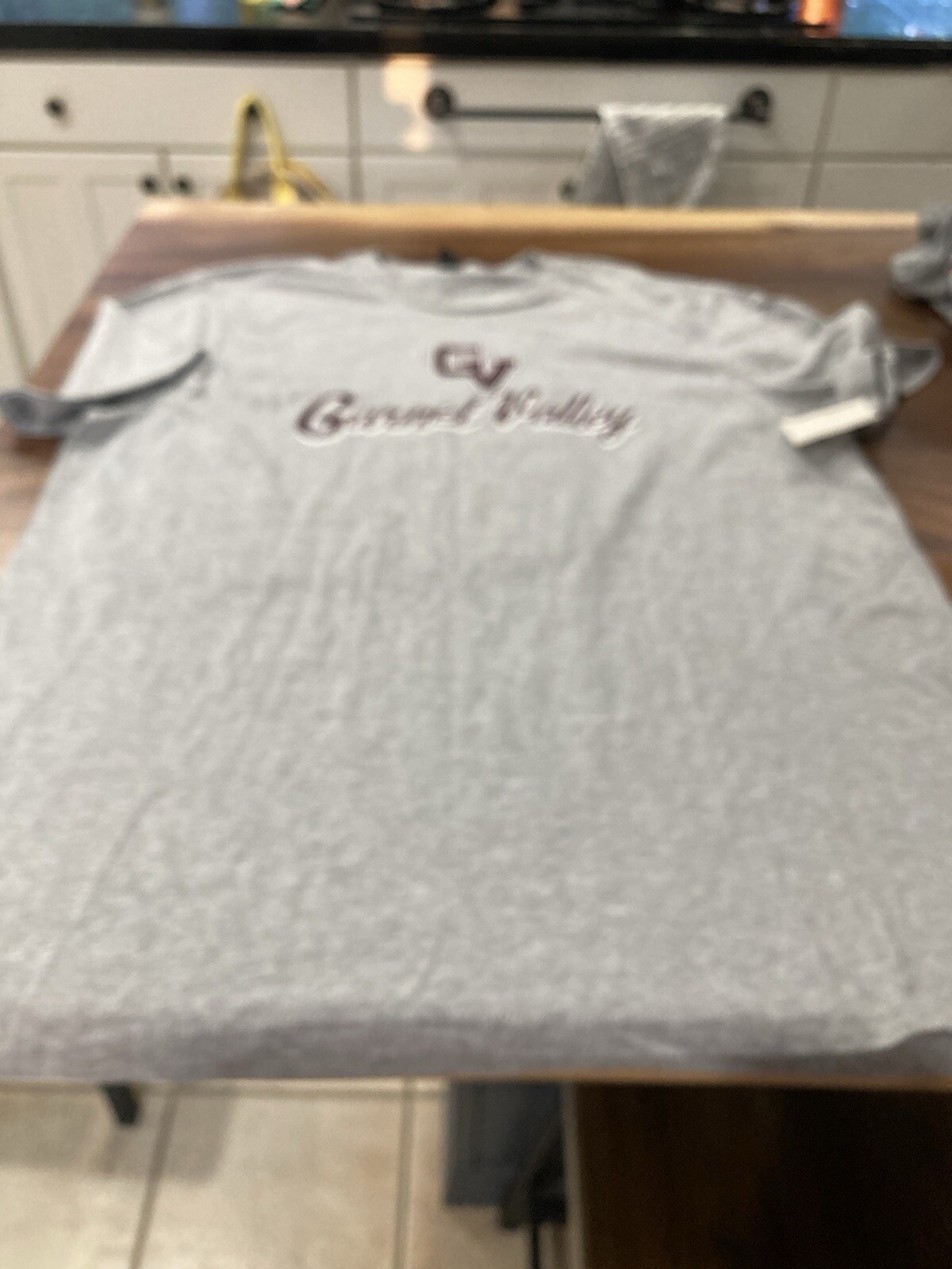 MENS District Garnet Valley SHORT Sleeve T SHIRT Gray Maroon XXL 2XL NWT