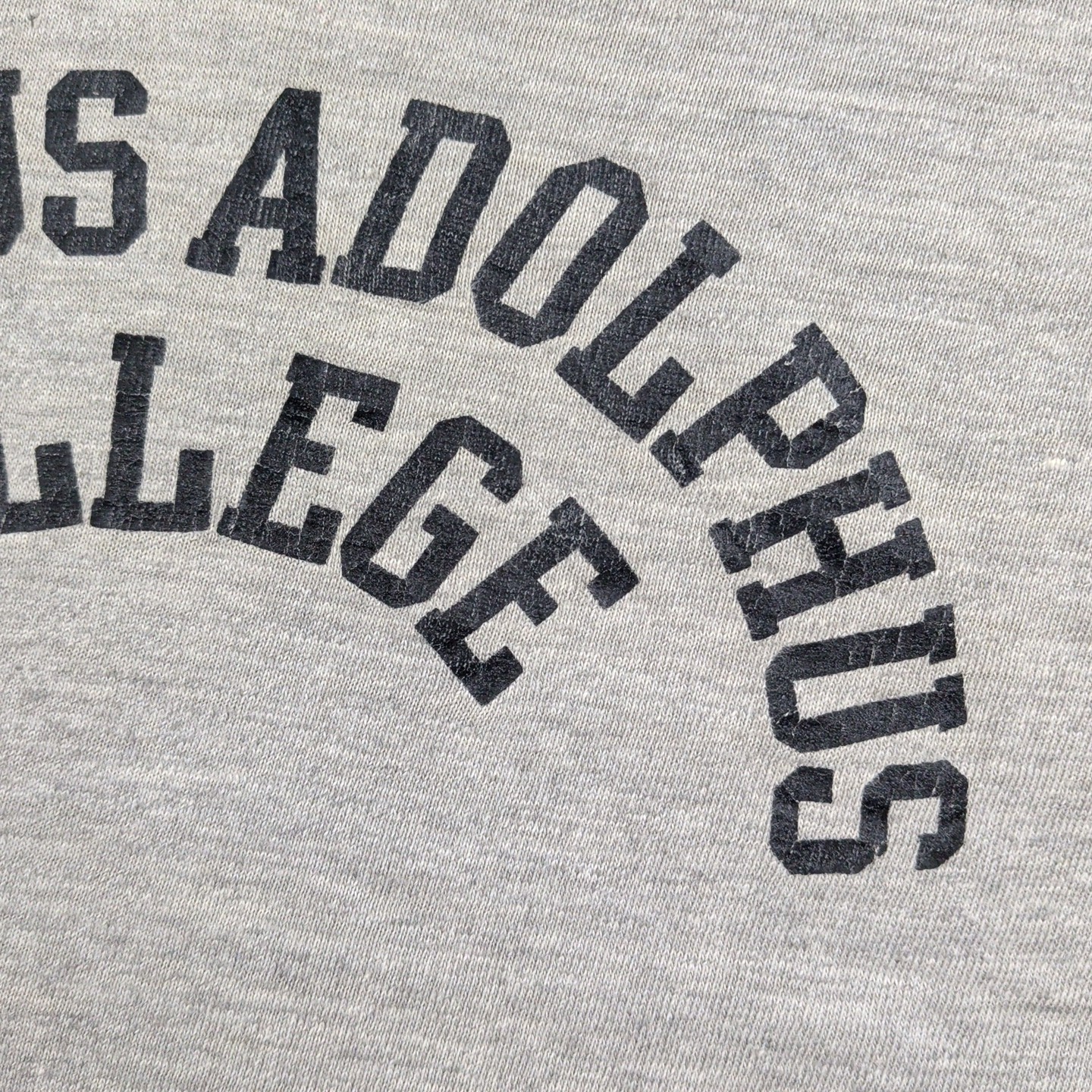 VTG 1960s Sportswear by Collegiate T Shirt Mens L Gray Gustavus Adolphus College