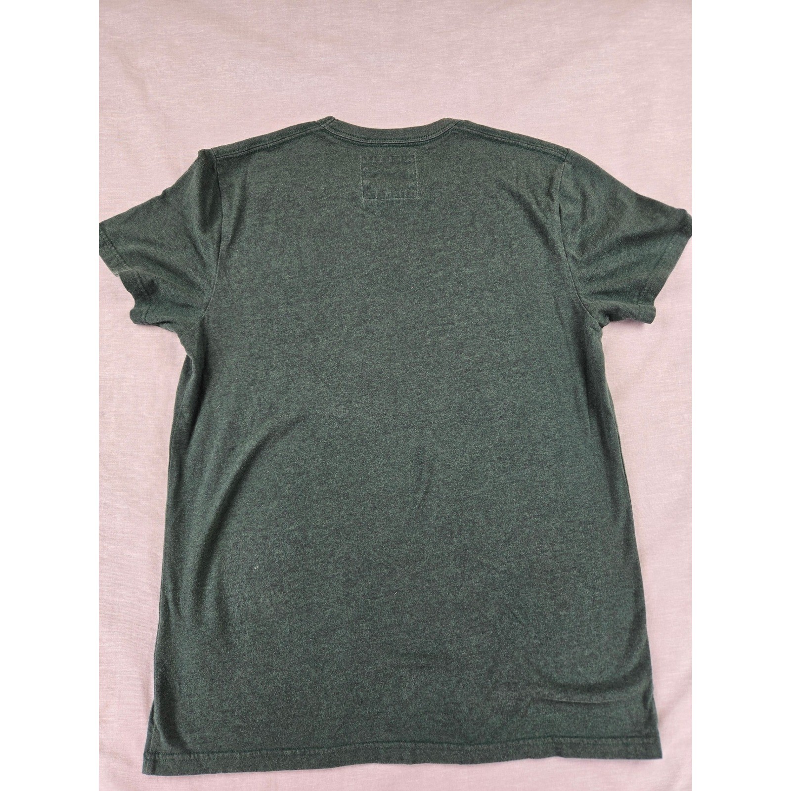 Hollister California Mens M Heather Green Graphic T-Shirt Embroidered Logo