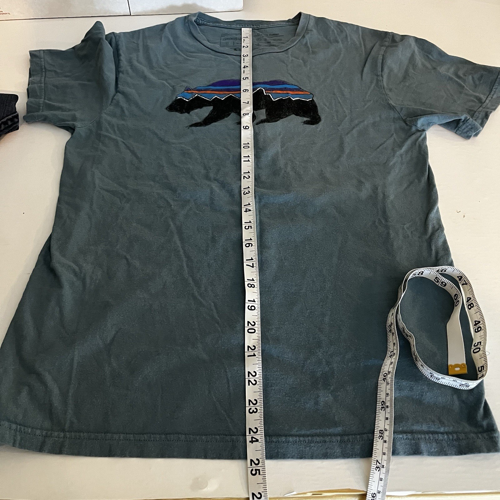 Patagonia Mens Slim Fit Small Teal Green Graphic Tshirt Bear Logo Hiking Outdoor