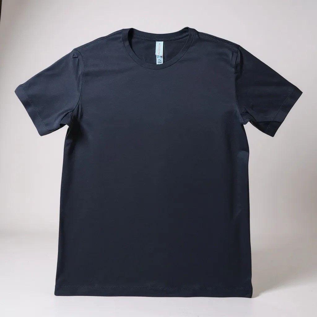 Alternative Earthleisure by Hanes 100% Cotton Crewneck T-shirt Unisex Black New
