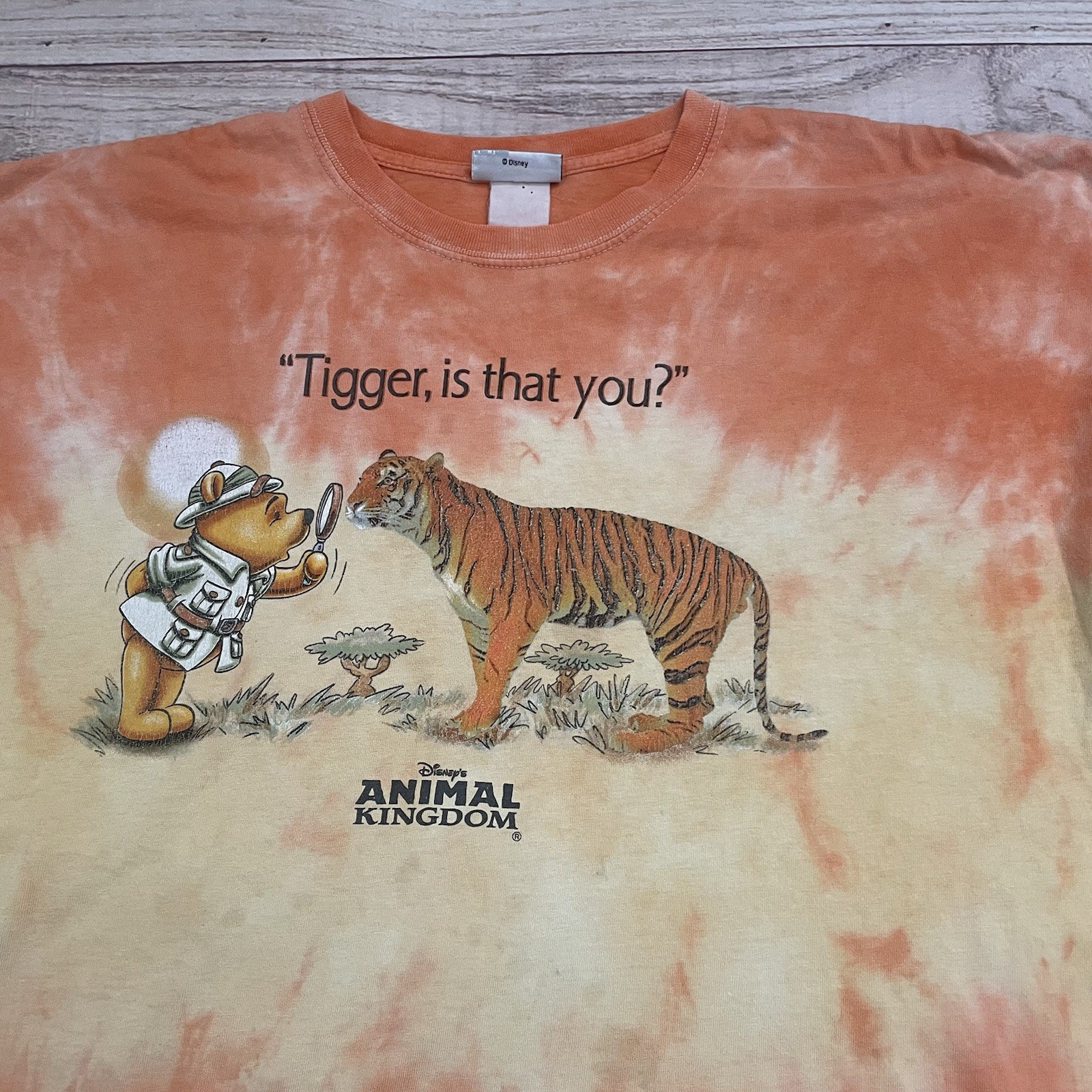 Vintage 90s Disney Animal Kingdom Tigger Is That You? Winnie the Pooh T-Shirt XL