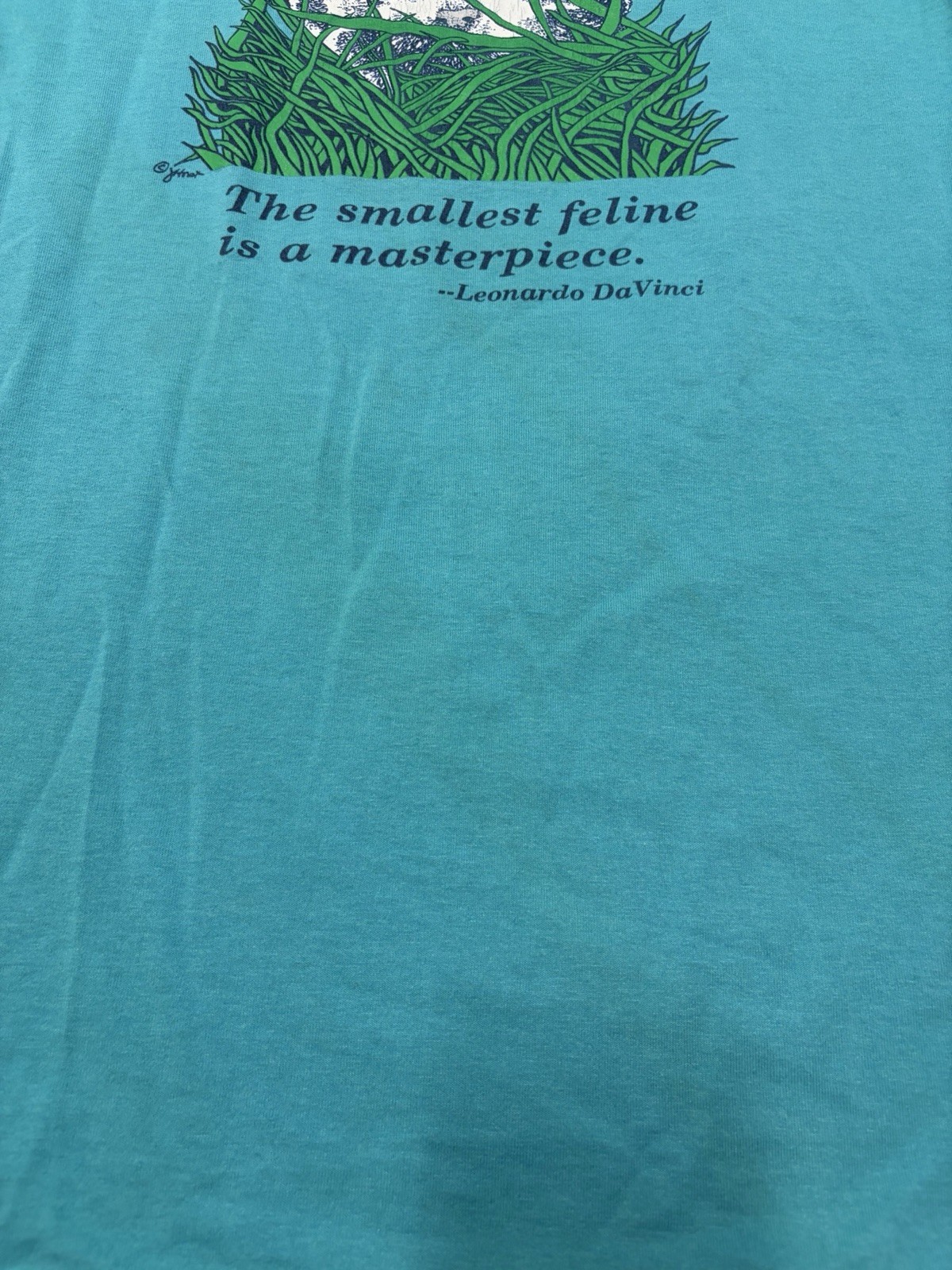 Vintage 80s Hanes T Shirt Mens M Teal Kitten Da Vinci Art USA 50/50
