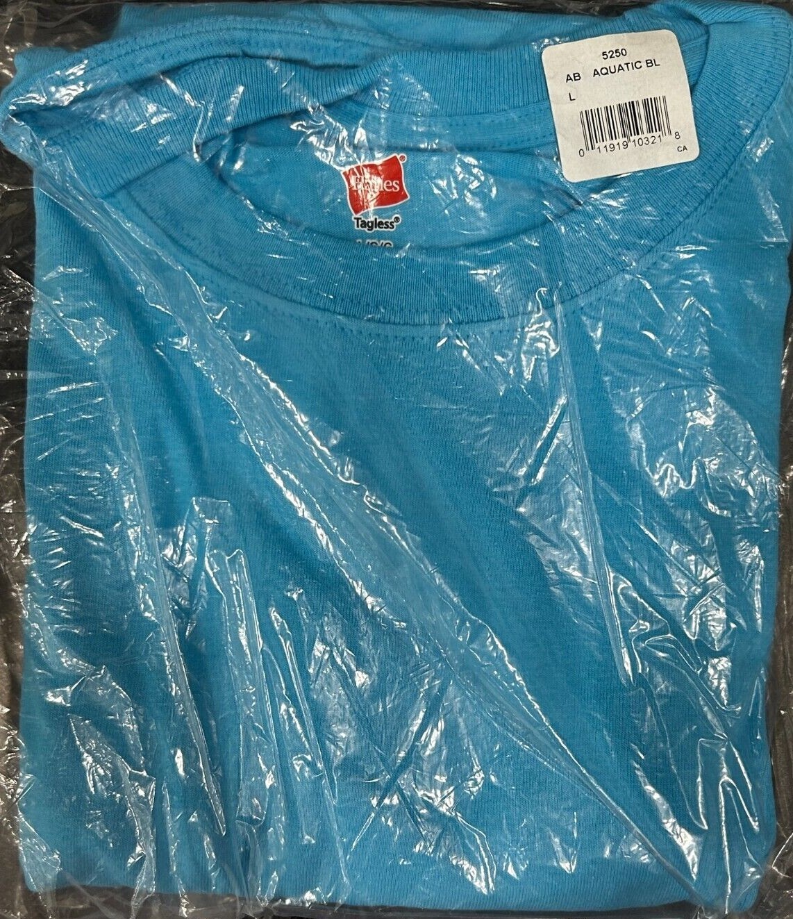 Hanes Tagless 100% Preshrunk Cotton Men&rsquo;s Size Large Tee Shirts Many Colors