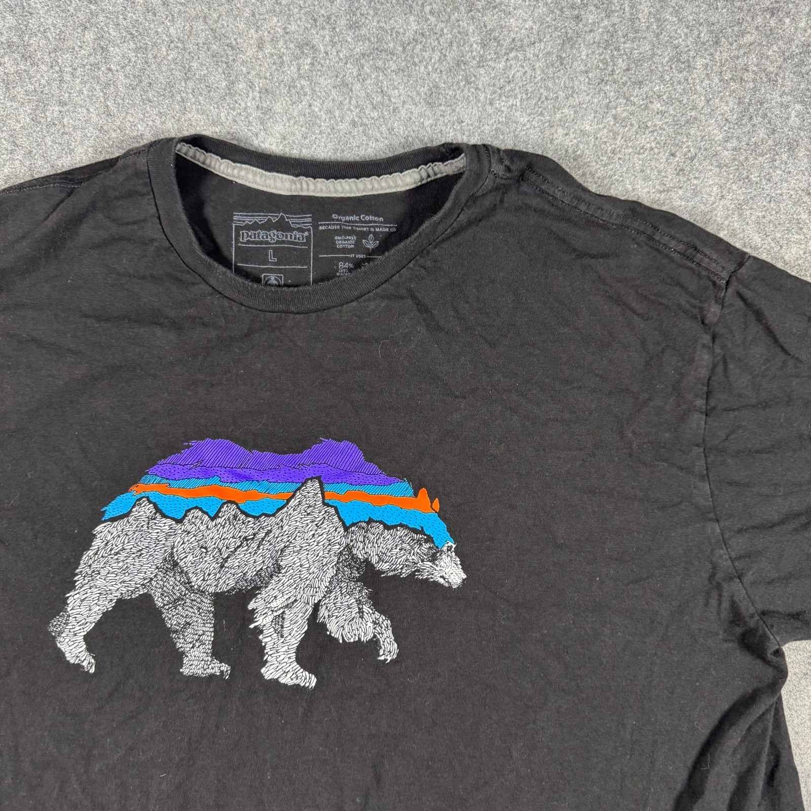 Patagonia Shirt Mens Large Black Fitz Roy Bear Graphic Organic Cotton Tee Hiking
