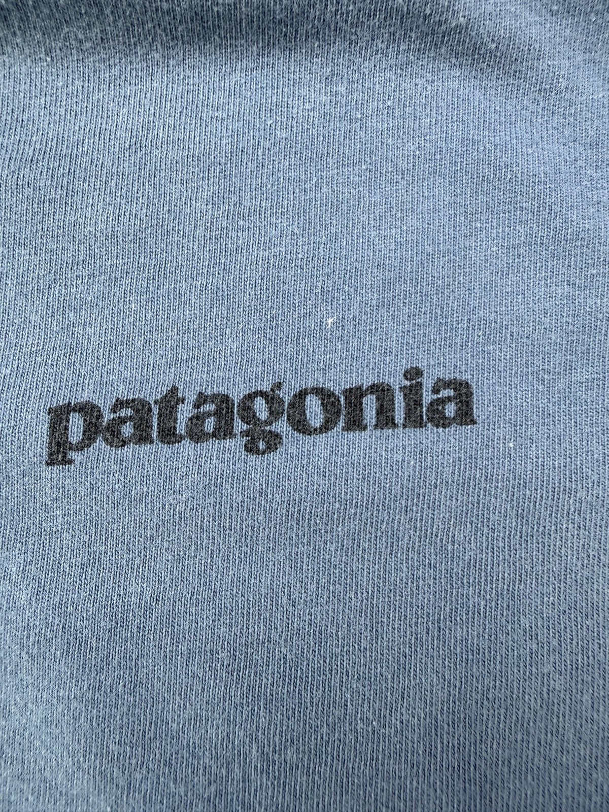 Patagonia Shirt Mens Large Blue Back Logo Graphic Tee Tagless Outdoor Hiking
