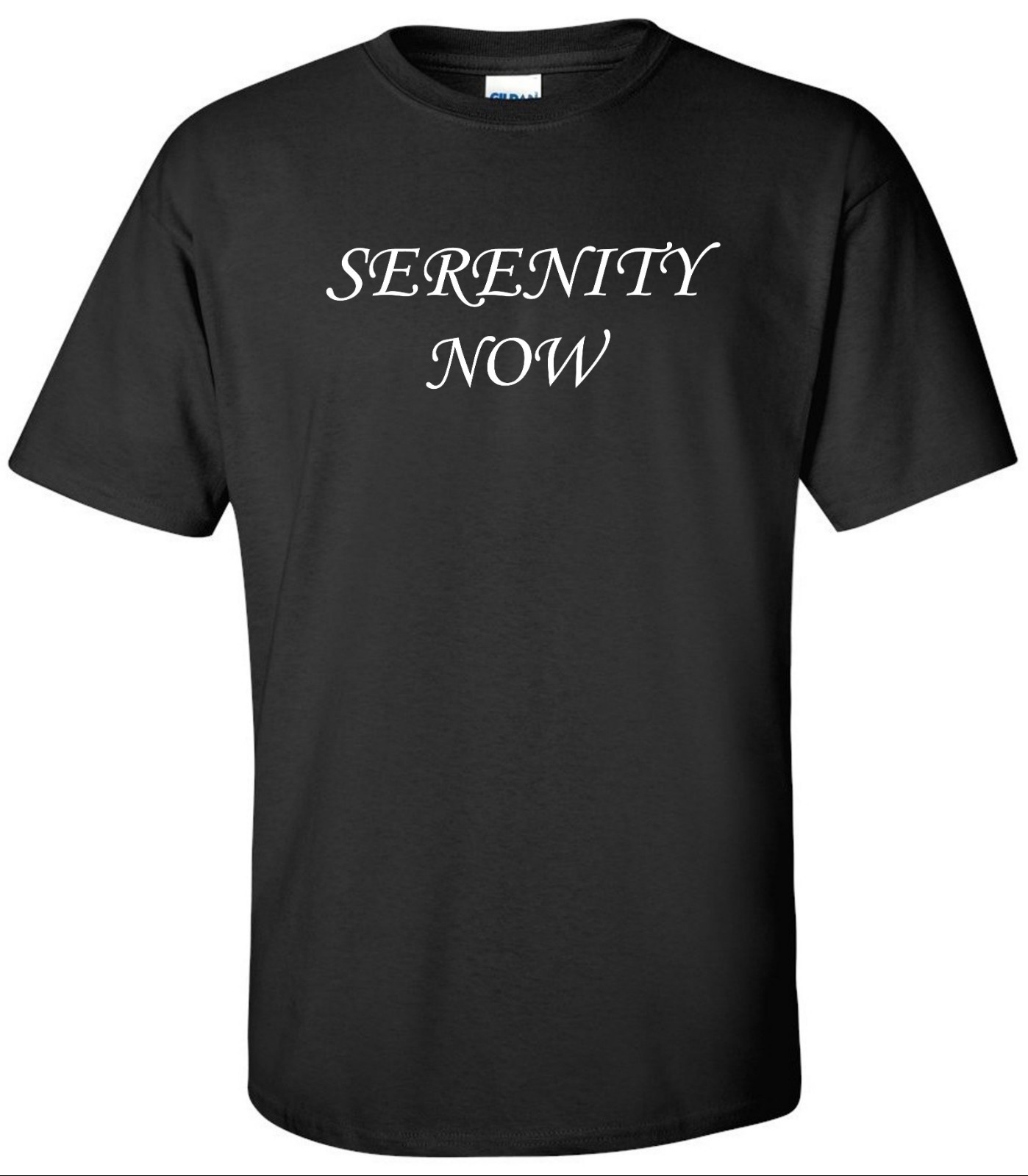 Serenity Now T-Shirt Yoga Seinfeld George Costanza Funny Tees Tee Shirt S-2XL