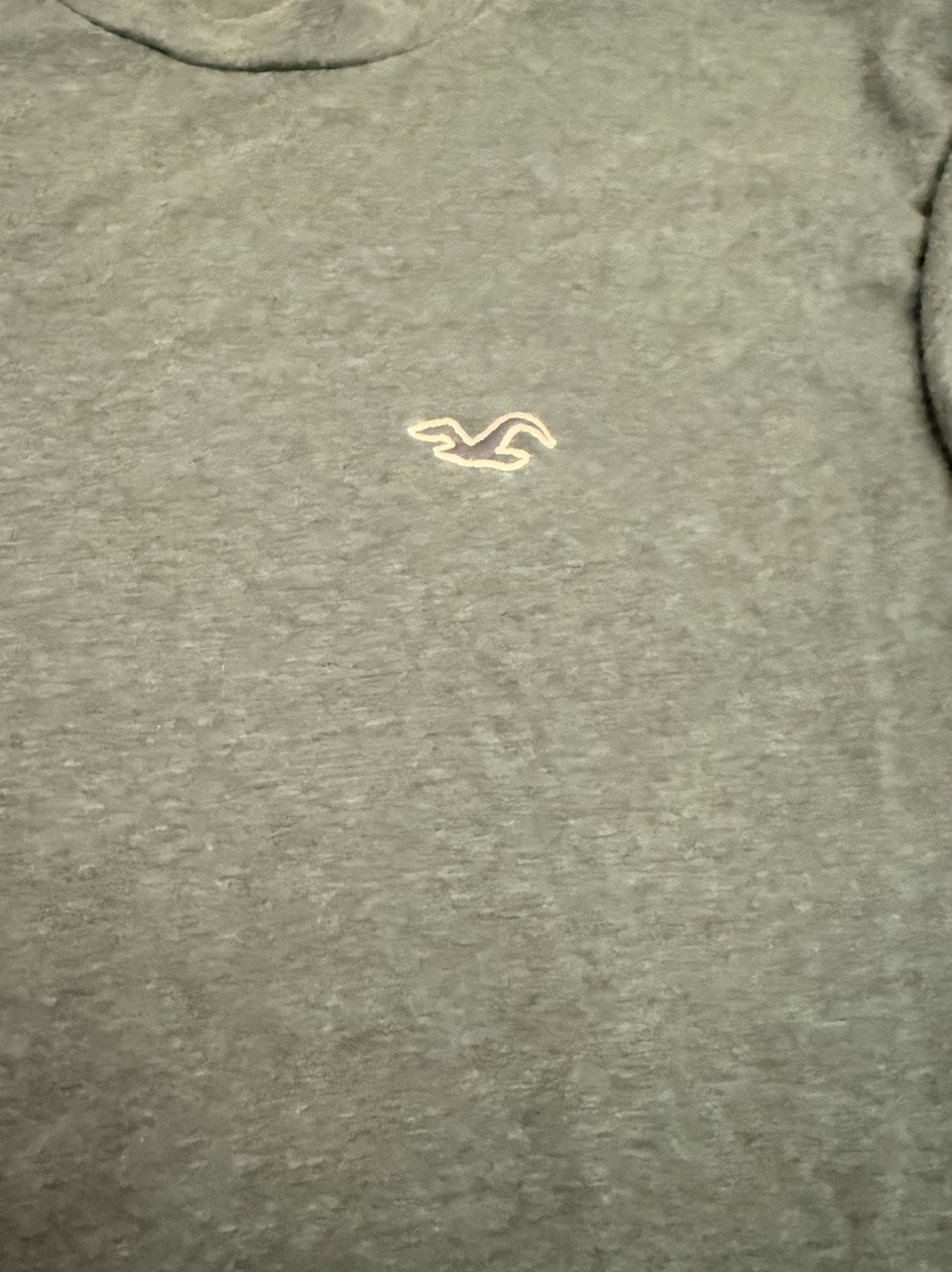 Hollister Men’s Must-Have Collection Tee Green Heathered Crewneck Size Small