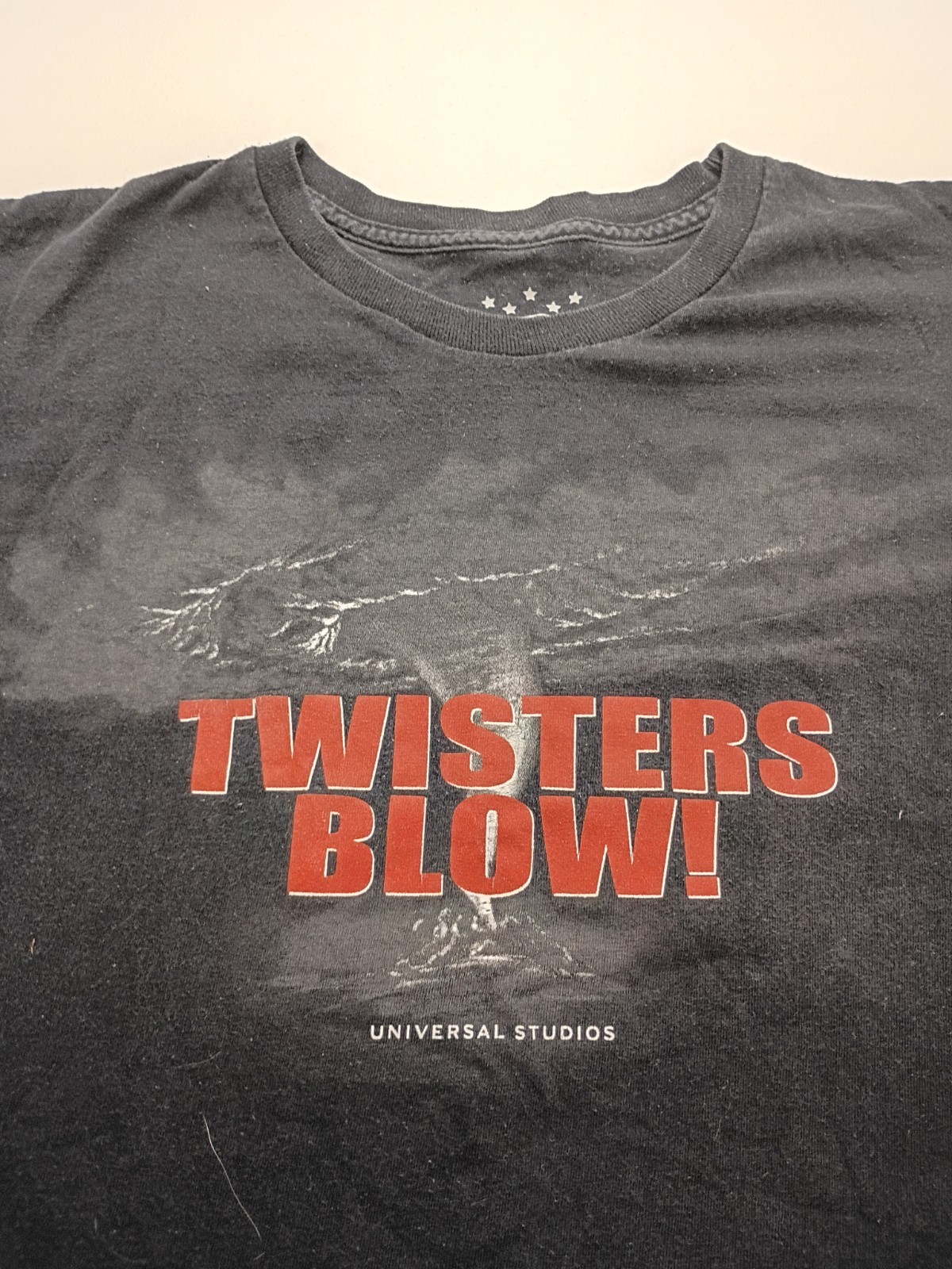 Vintage Y2K Twisters Blow Park Ride Shirt Size XXL