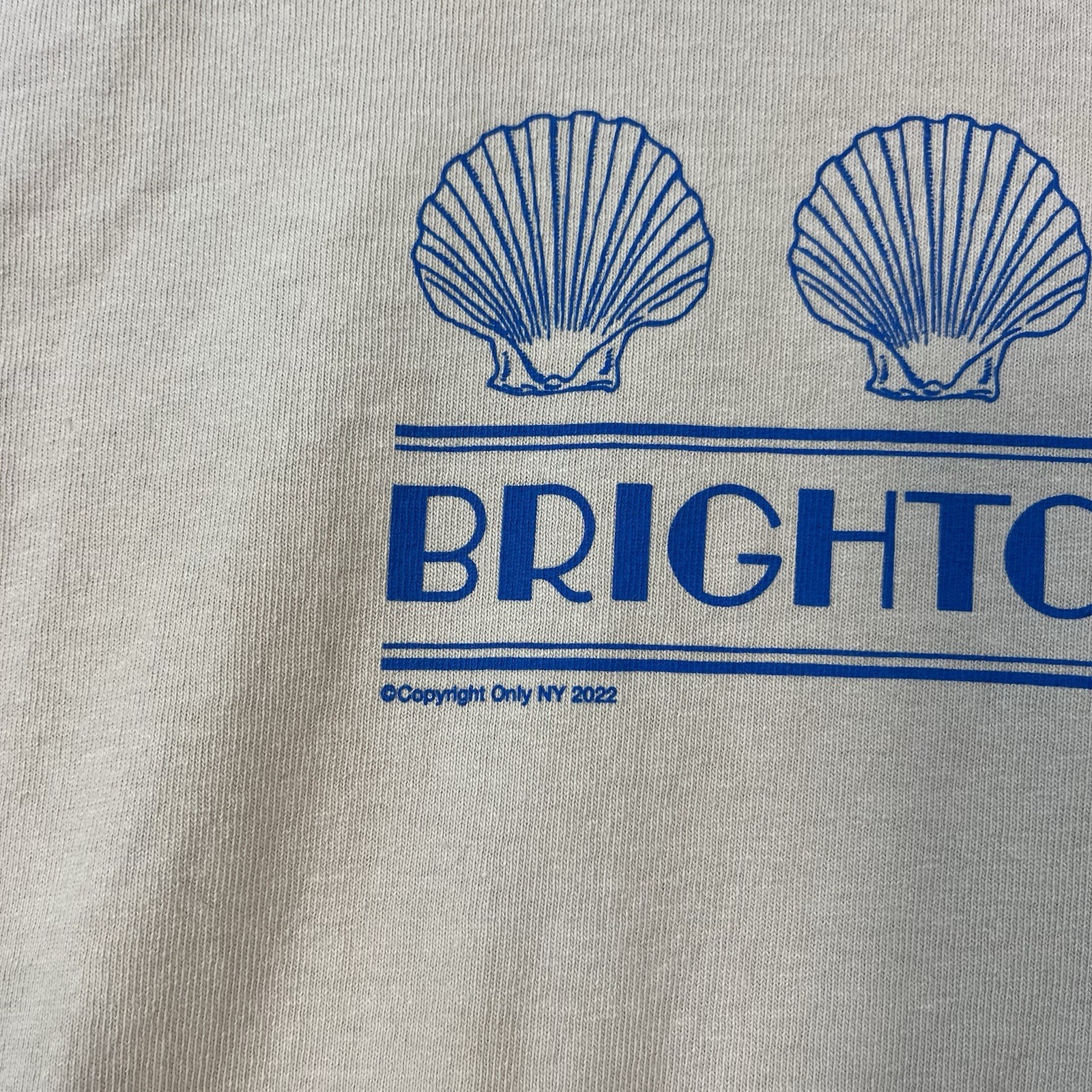 Only NY Brighton Beach New York Tee Mens XL Streetwear Supreme