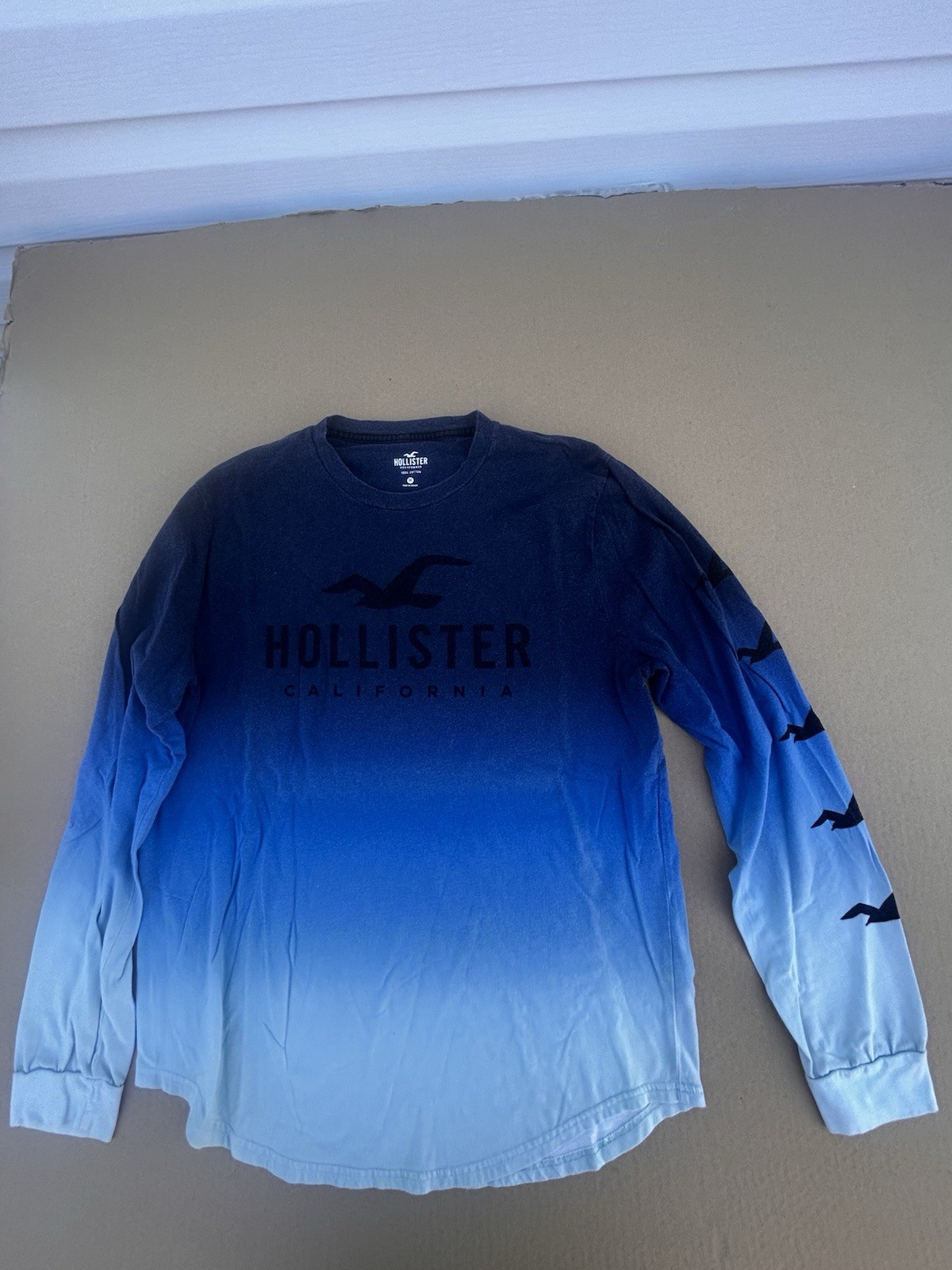 Vintage HOLLISTER Long Sleeve Knit Shirt Mens Medium Beach Birds 90’s