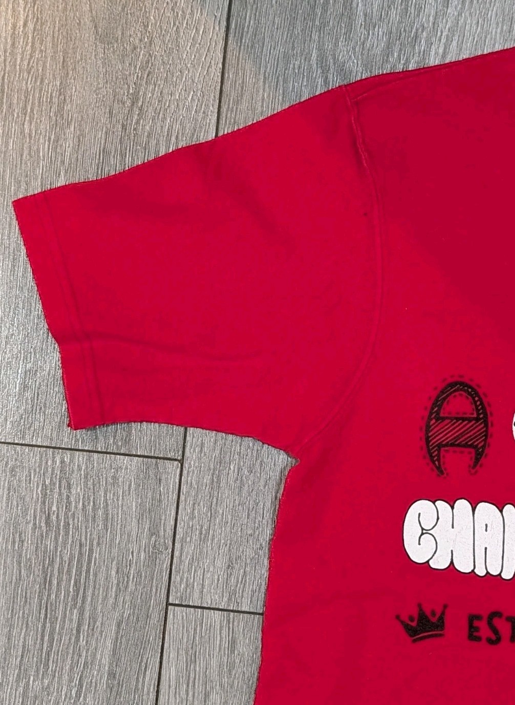 Vintage Champion Logo T-shirt Men&rsquo;s Size Small Tee Red T-shirt 100% Cotton