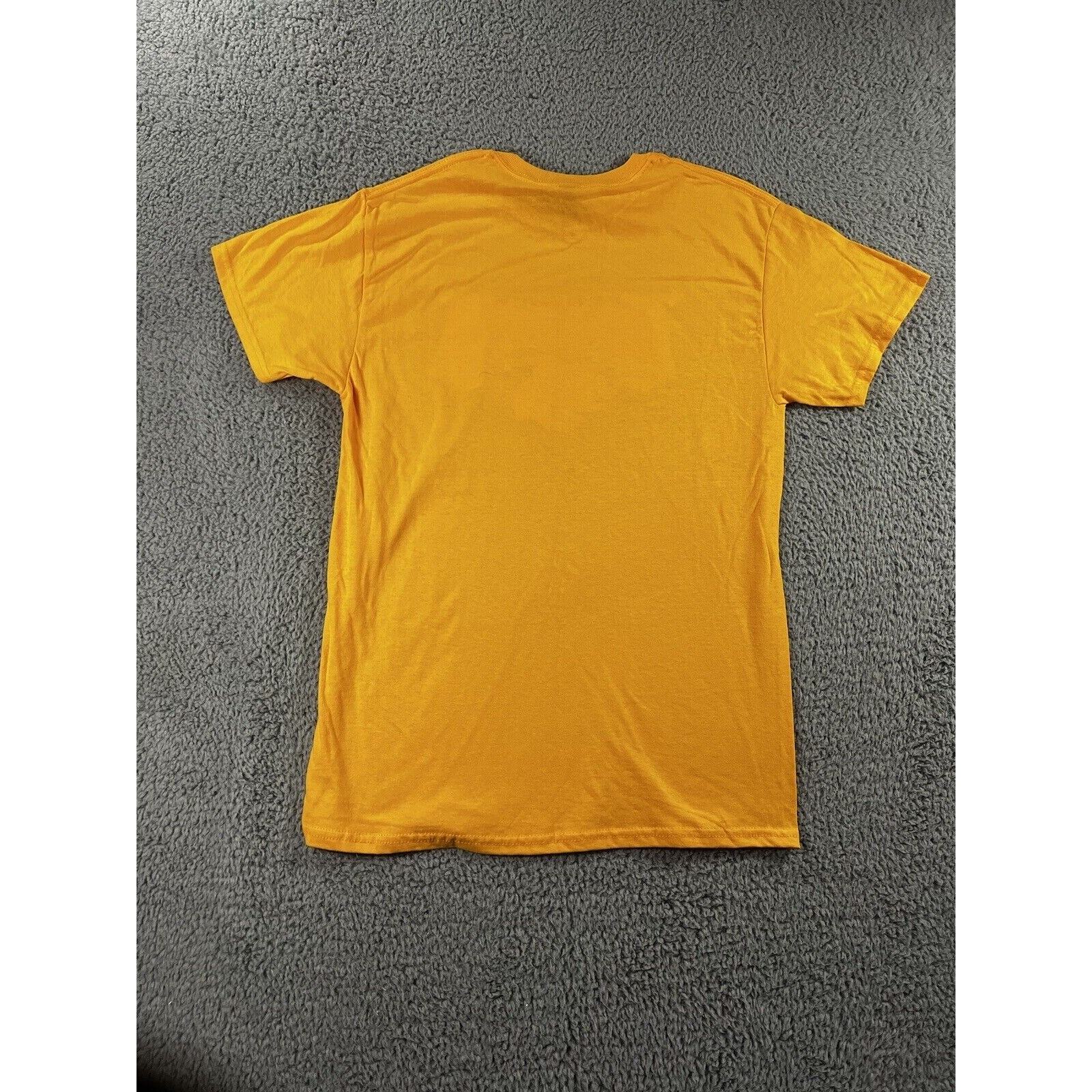 Gildan T Shirt Men Medium Heavy Cotton Short Sleeve Collegiate Fenwick Falcons