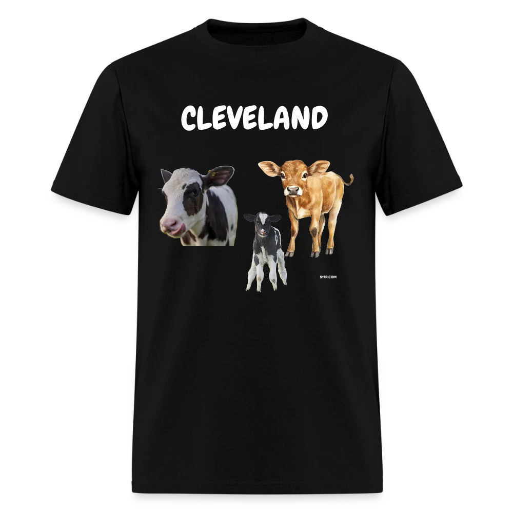 CAVS
