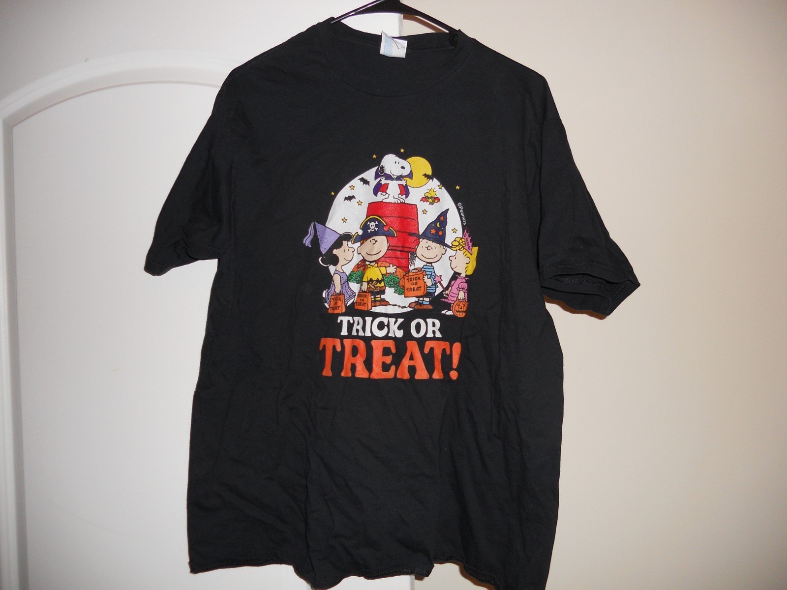 Snoopy Peanuts Charlie Brown Christmas , Halloween, Thanksgiving, Valentine, LOT