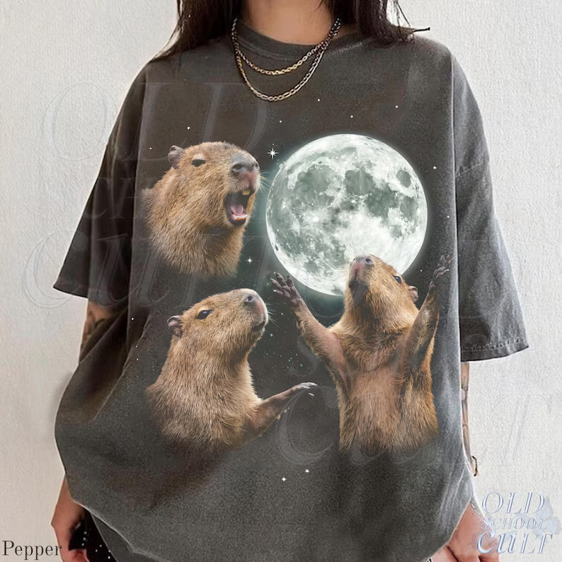 Vintage Capybara Galaxy Animal Graphic Comfort Tee