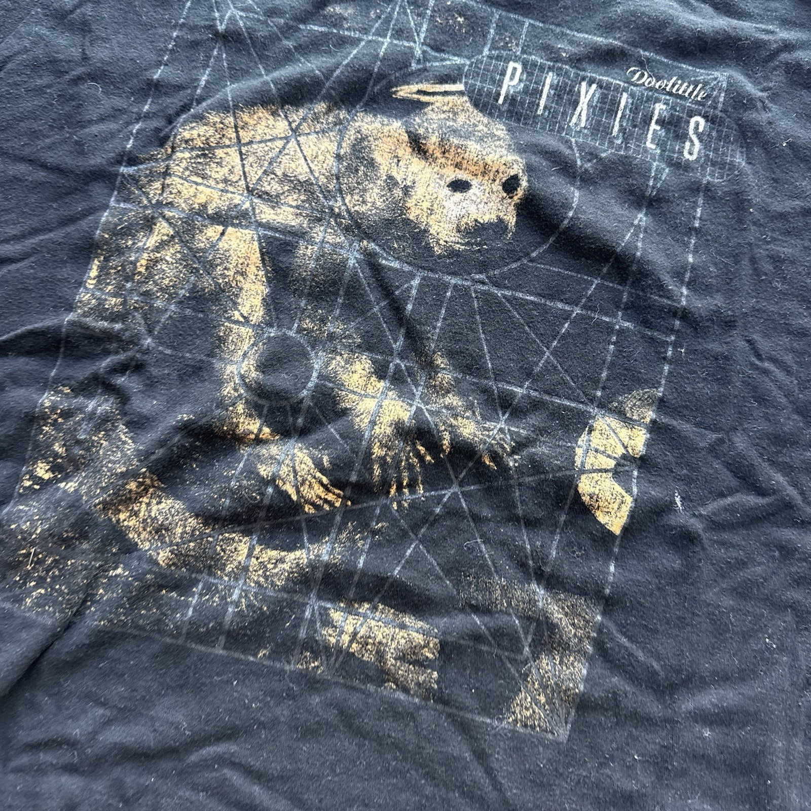 Pixies Band Shirt Mens L Black Doolittle Album Tour 2023 Tultex Indie Rock Tee