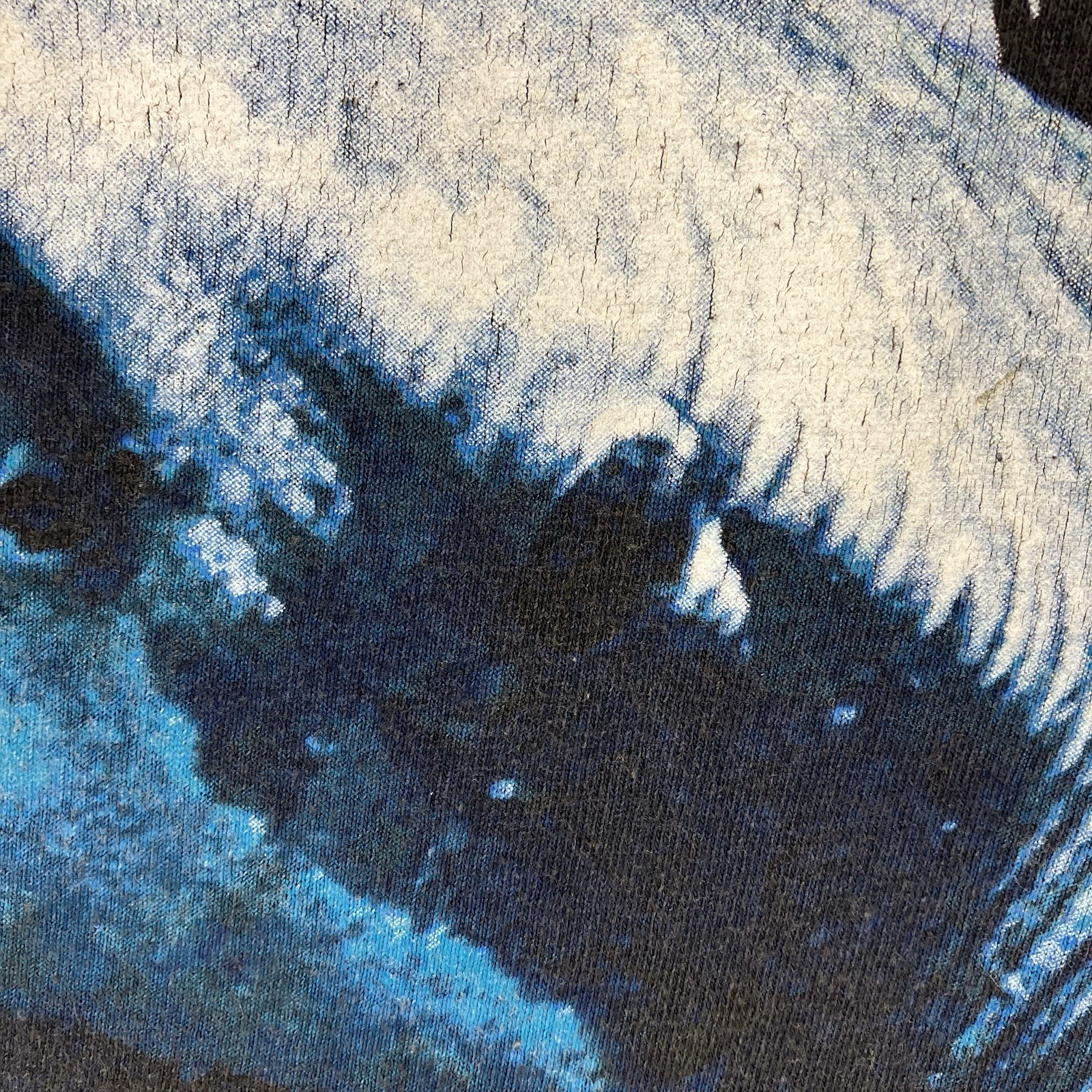 Vintage 90s Y2K Shark Week Graphic Tee Mens Small Animal Planet Big Head Retro