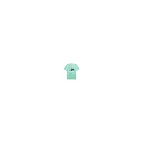 johnnie-O Magic Bus Graphic T-Shirt Spearmint/XL Mens Tops NOMODEL720412
