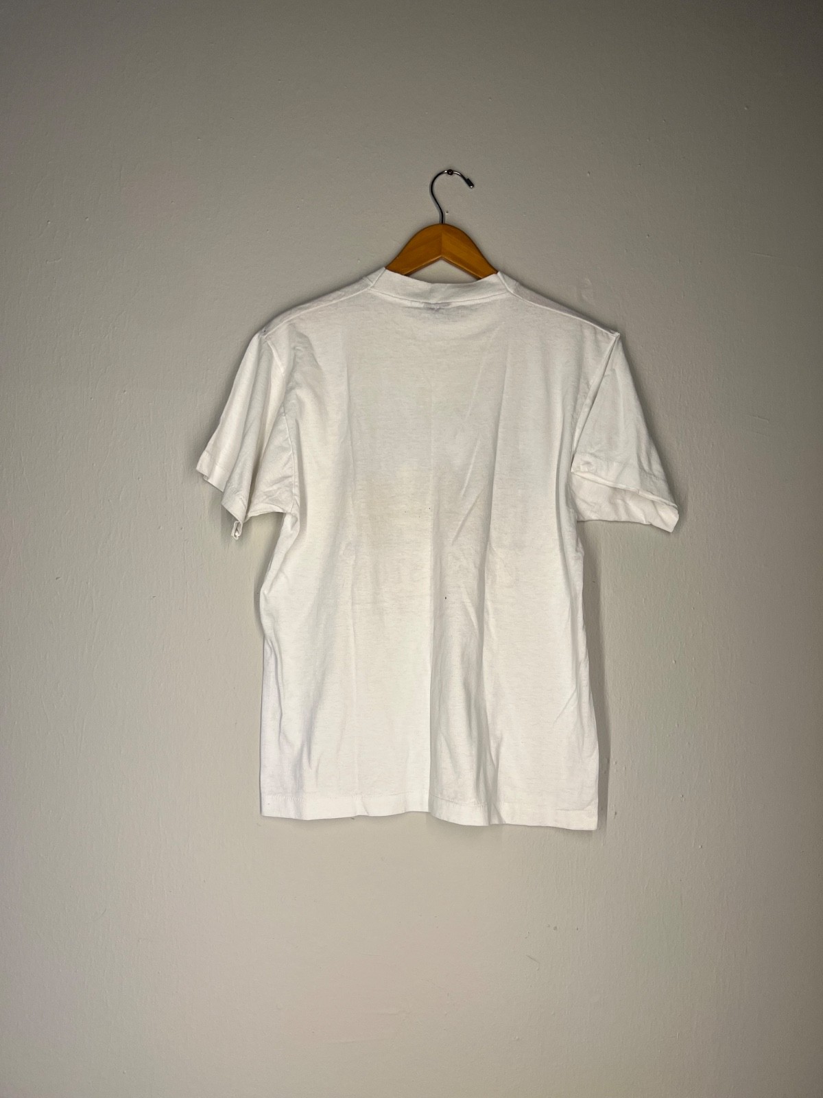 Vintage 90s Charleston Rainbow Row Single Stitch Screen Stars Best Tee Large