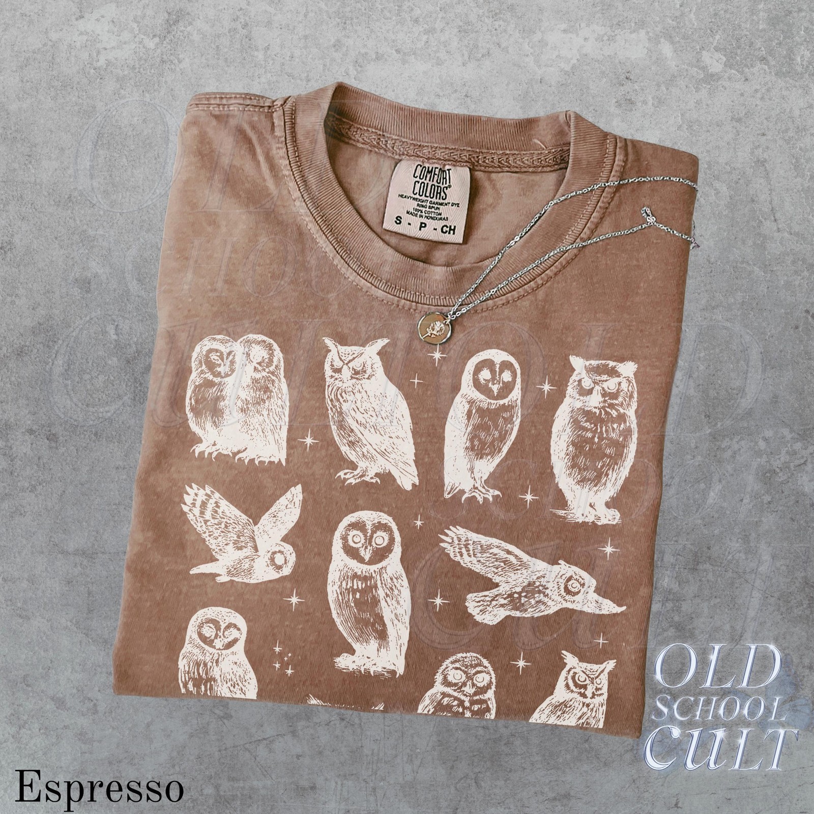 Owls 90s Comfort Colors Vintage Tattoo Style Tshirt, Retro Mythical Owl Lovers