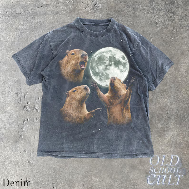 Vintage Capybara Galaxy Animal Graphic Comfort Tee